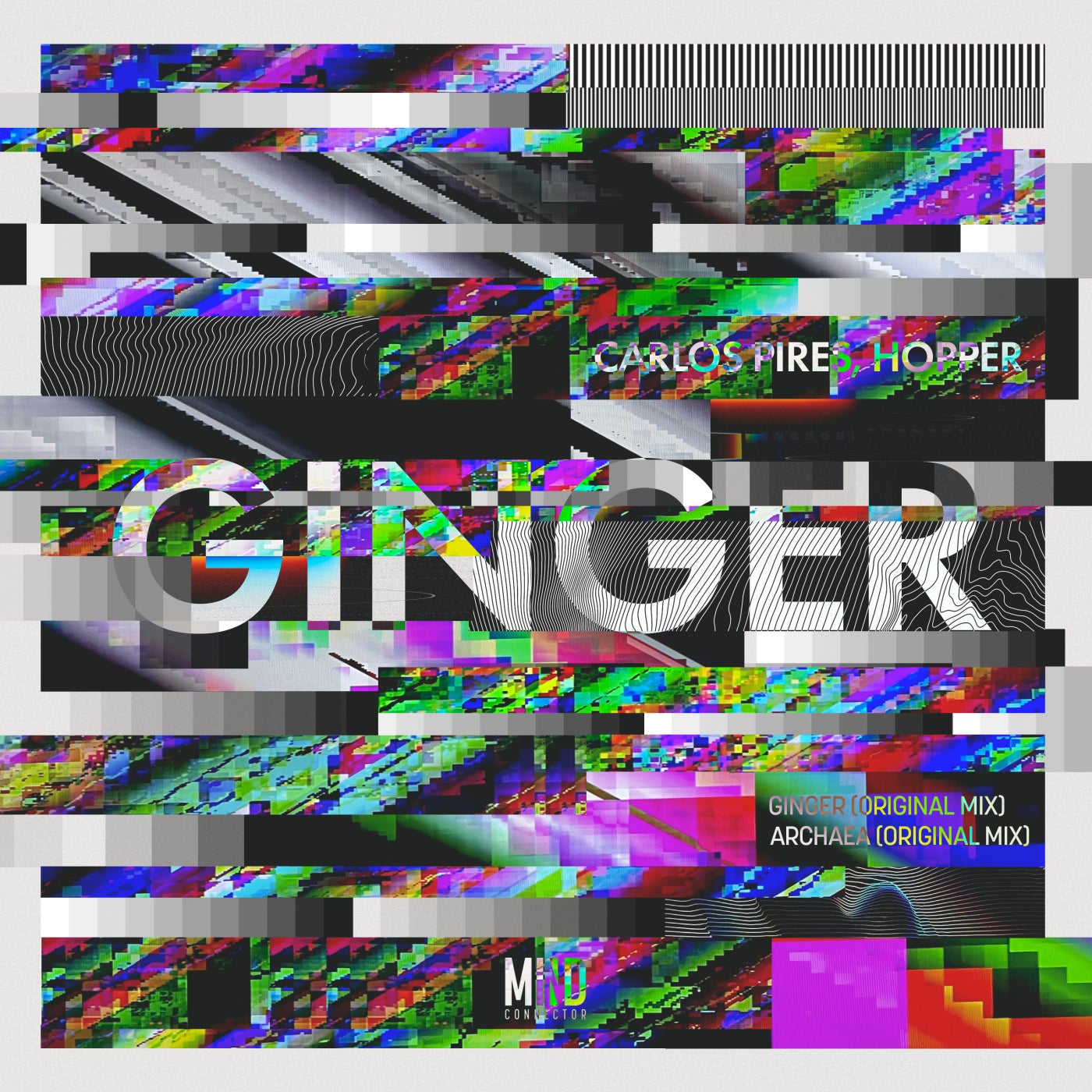 Ginger