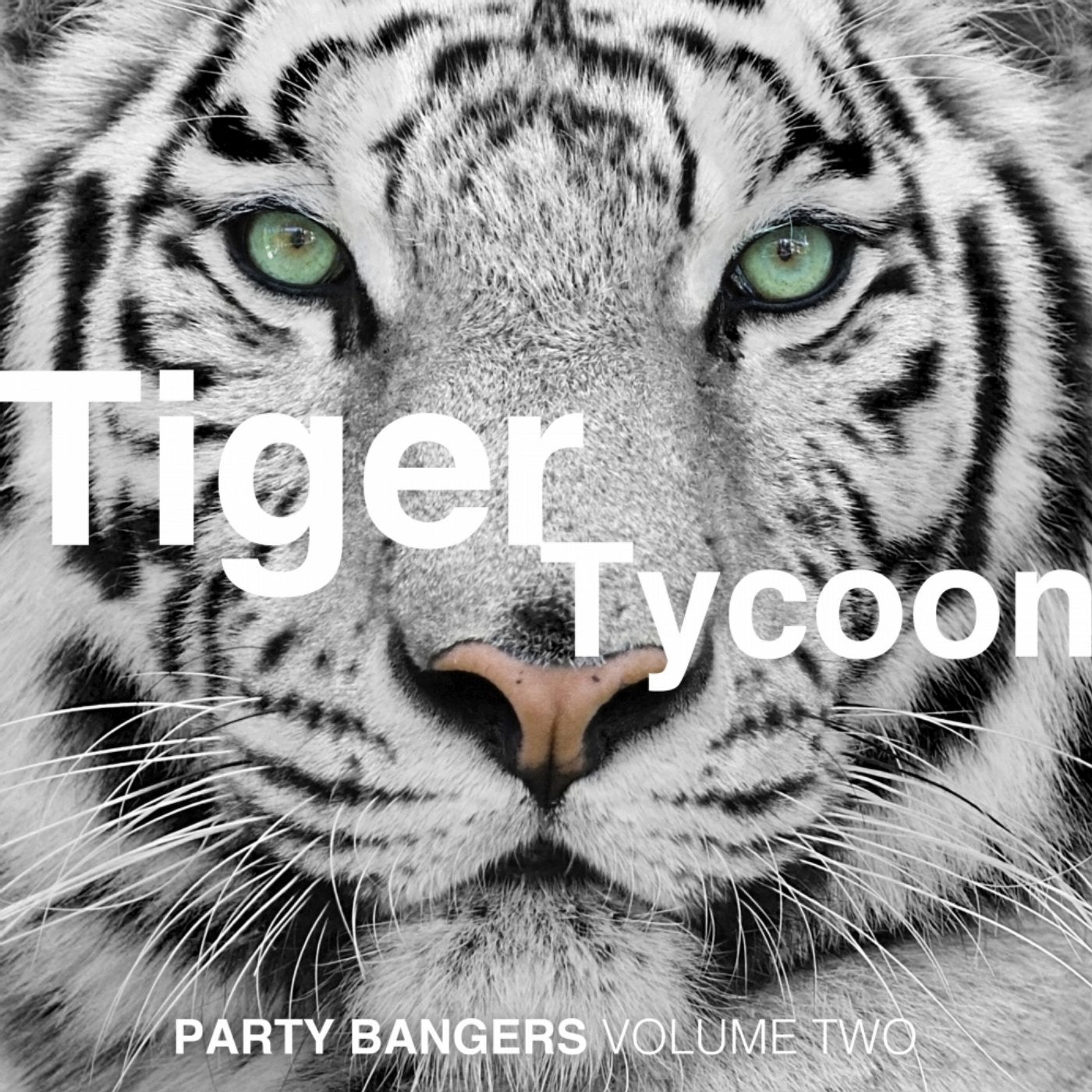 Tiger Tycoon Party Bangers Vol. 2