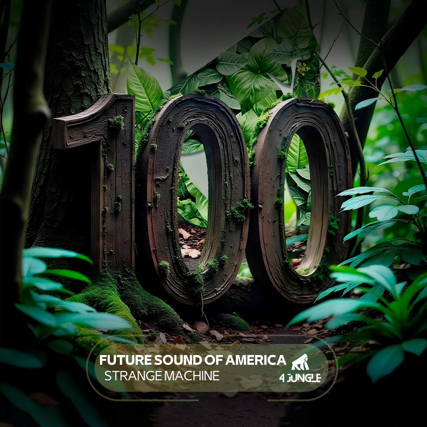 Strange Machine
