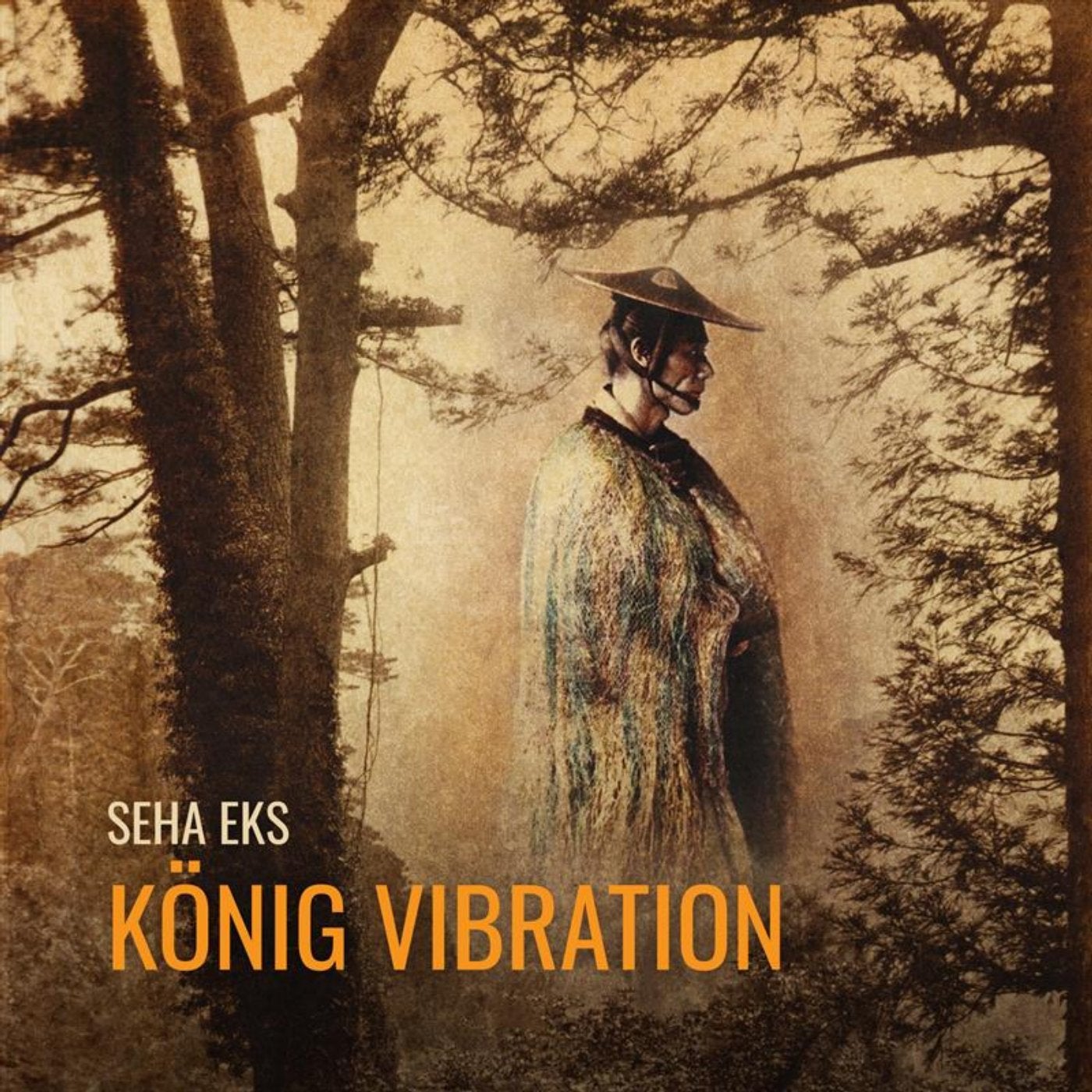 Koenig Vibration