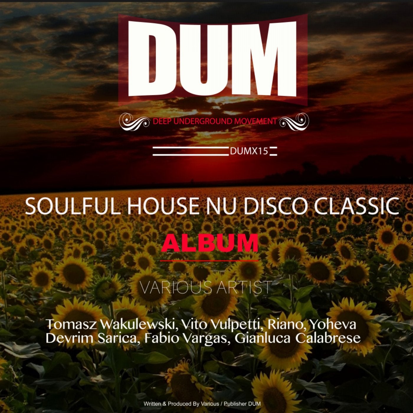 SOULFUL HOUSE NU DISCO CLASSIC