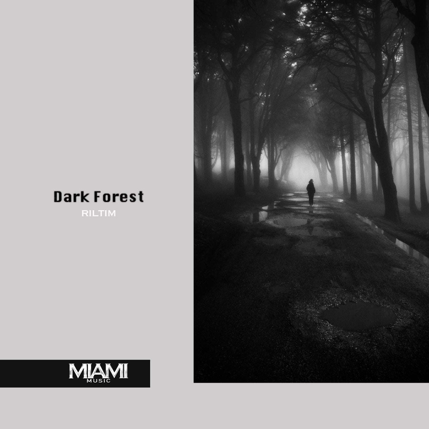 Dark Forest