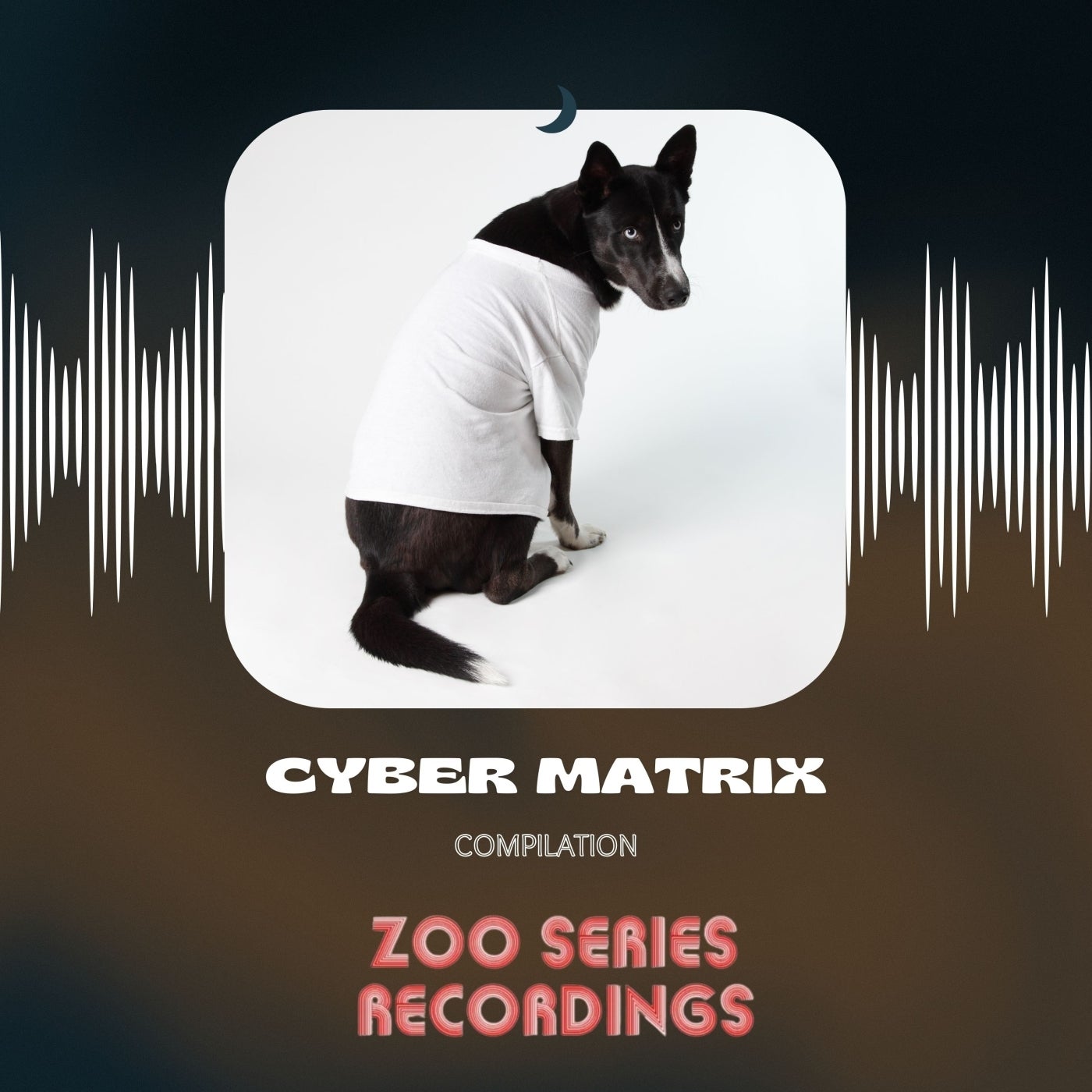 Cyber Matrix