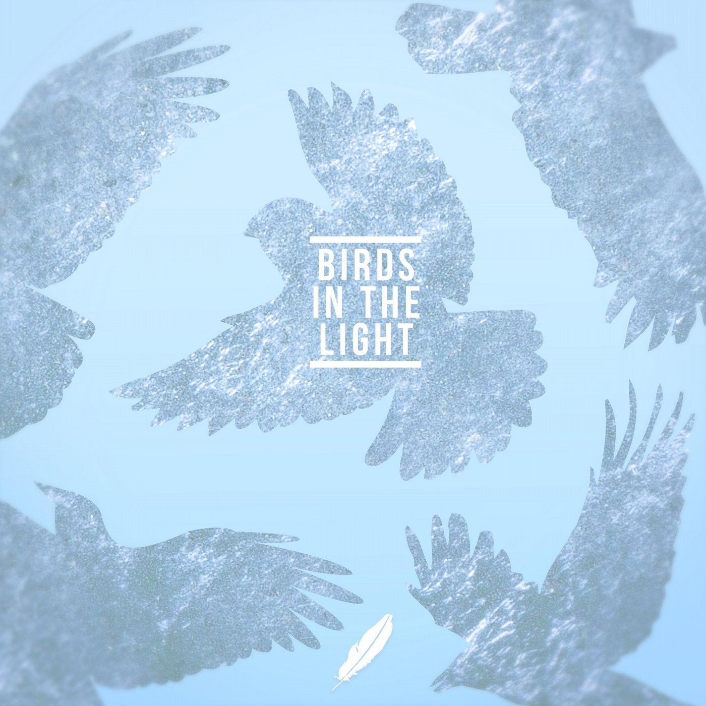 Birds In The Light