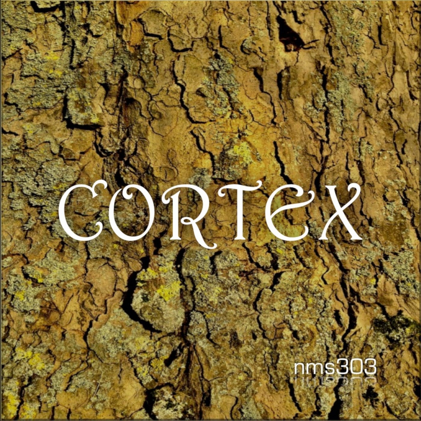 Cortex