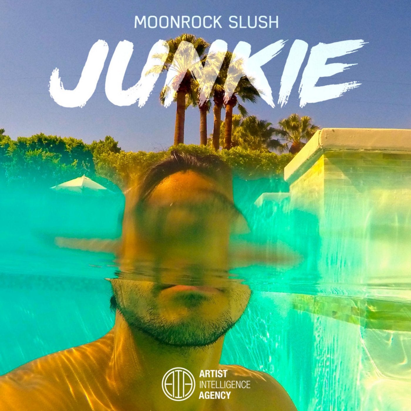Junkie - Single