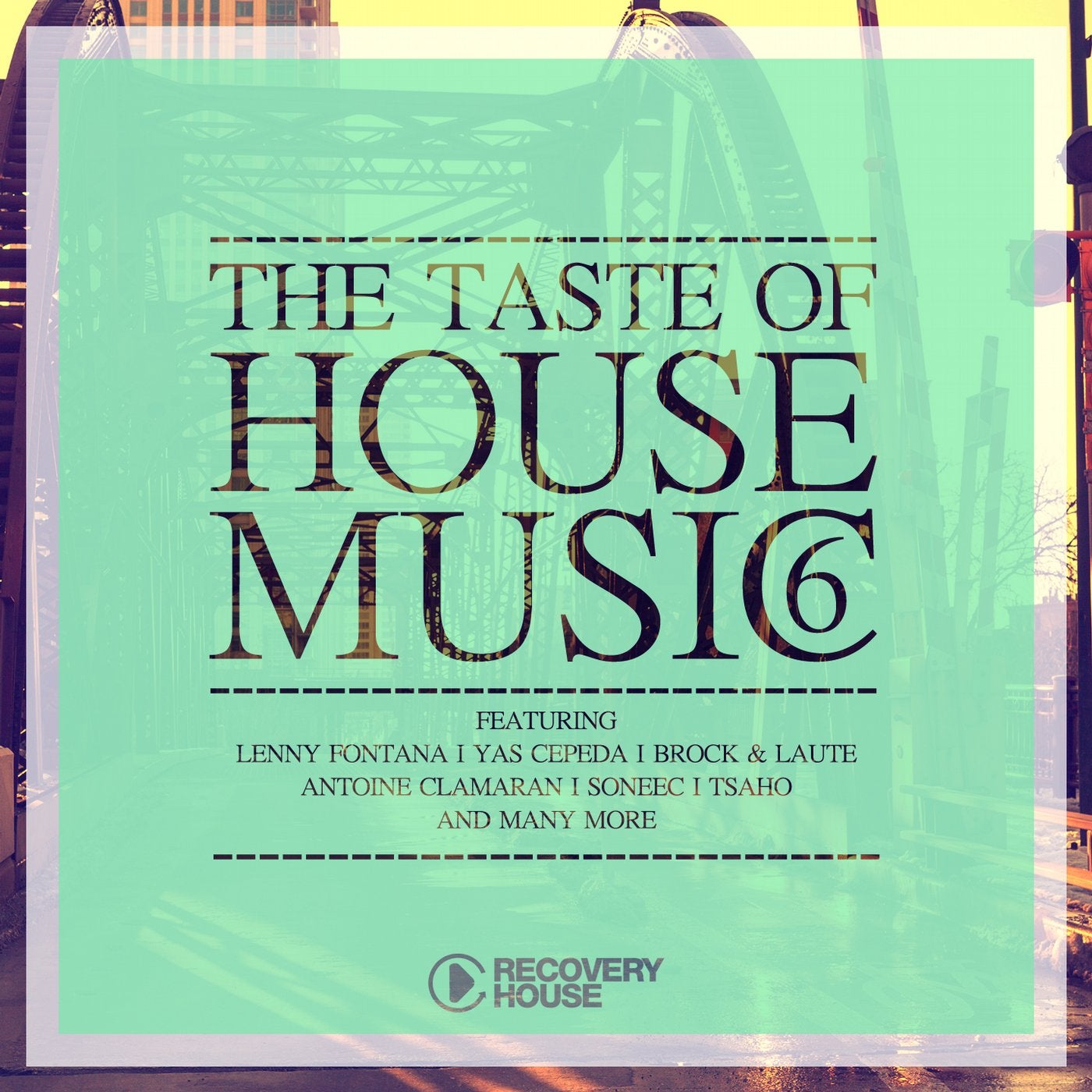 The Taste Of House Music, Vol. 6