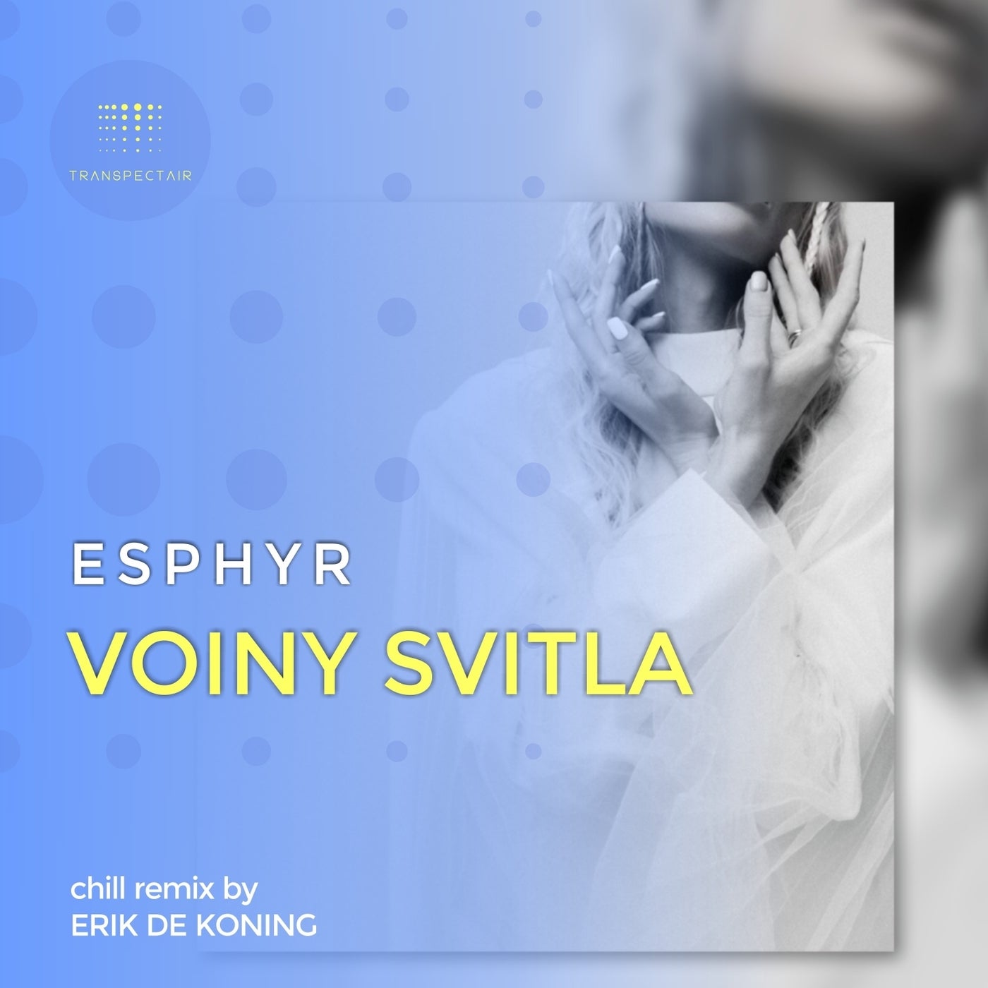 Voiny Svitla (Chill Remix by Erik De Koning)