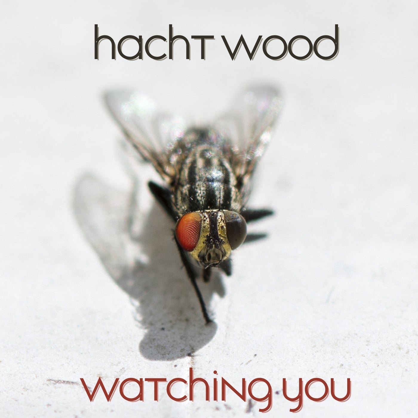 Watching You