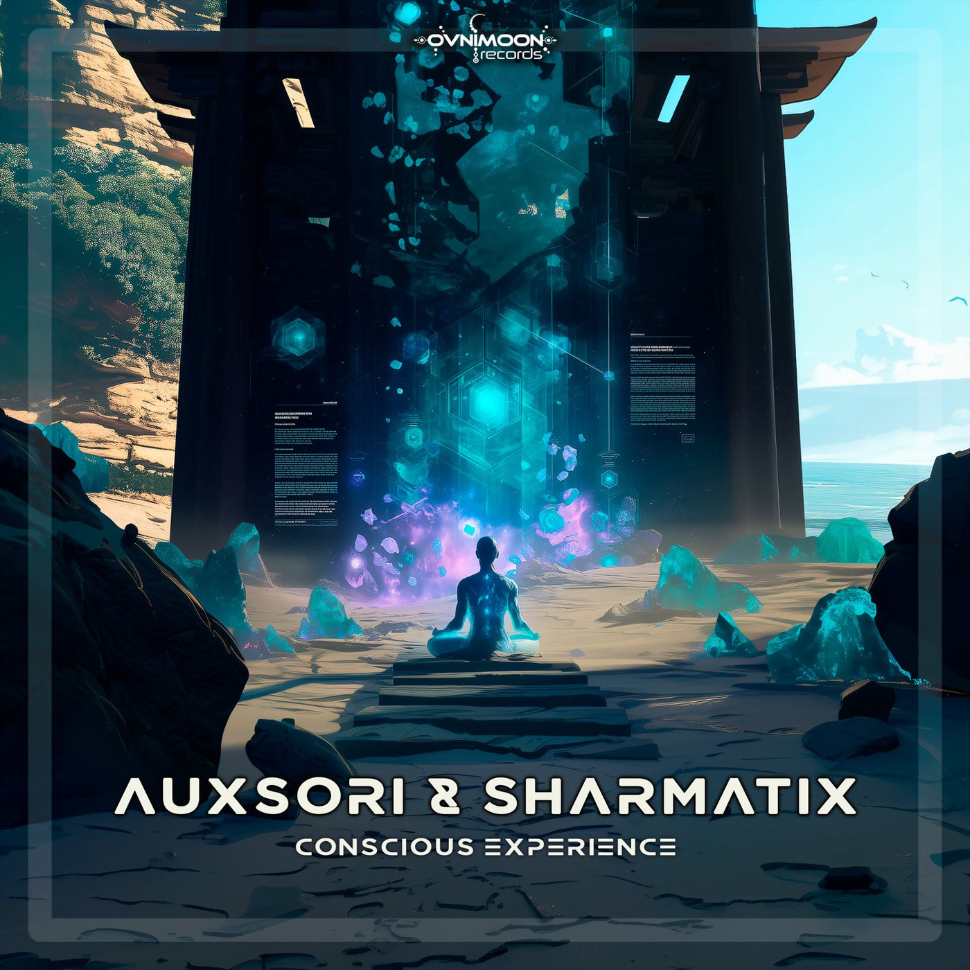 Conscious Experience