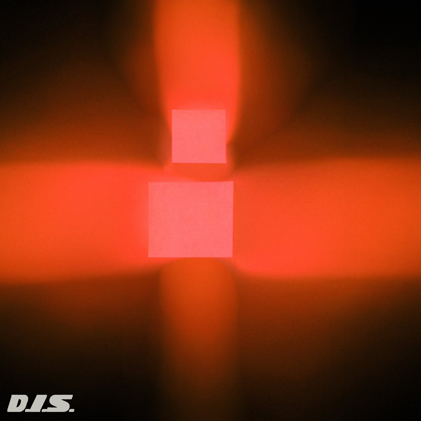 D.I.S.