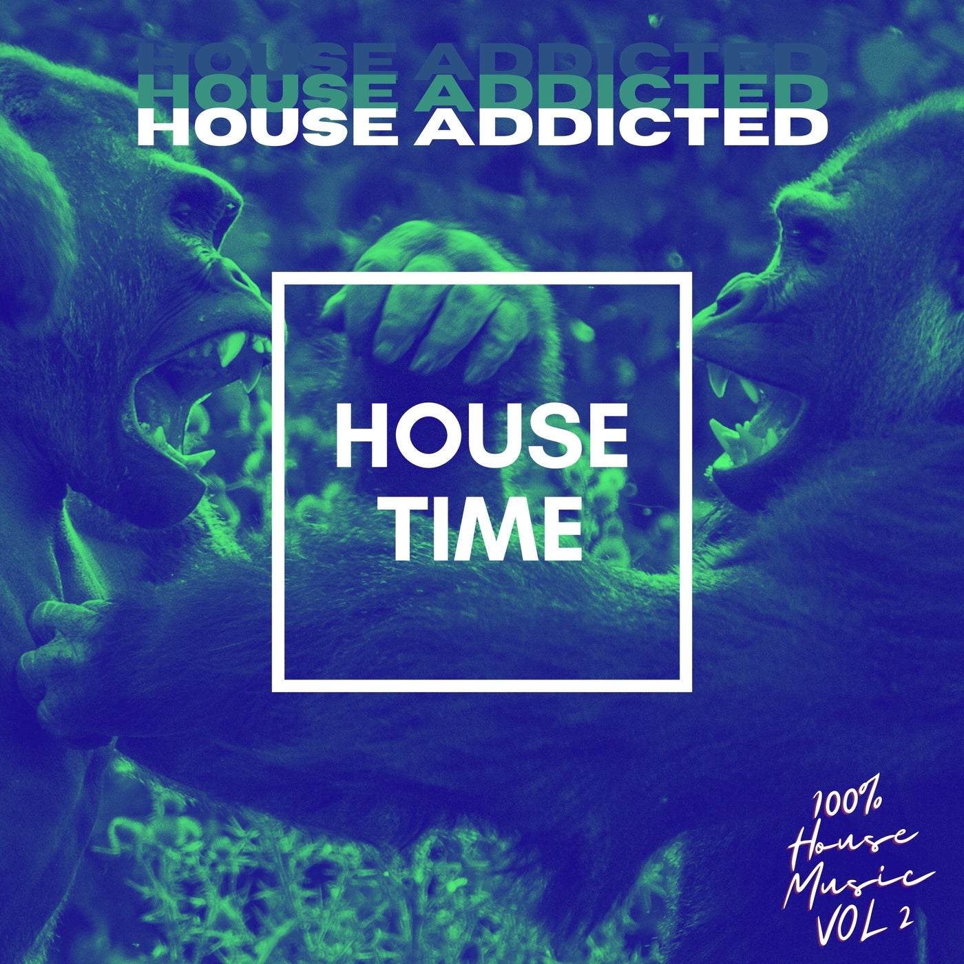 House Addicted, Vol. 2 (100%% House Music)