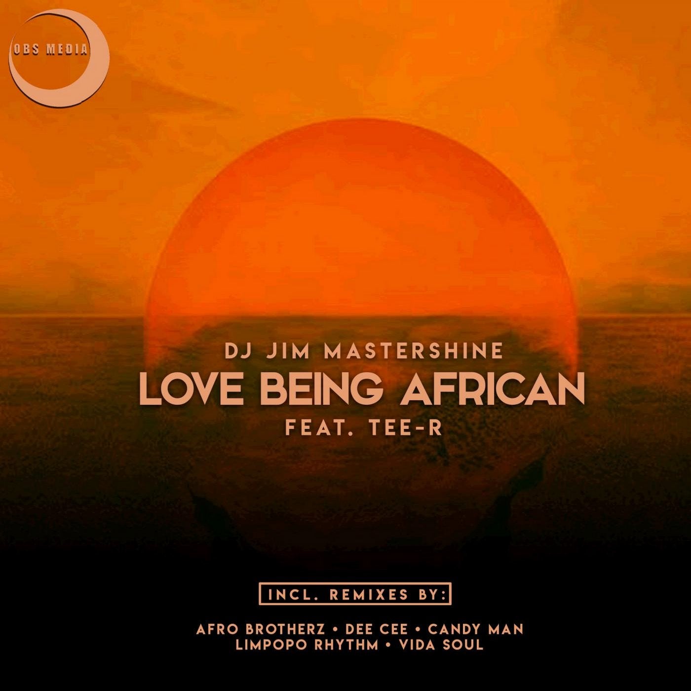 Love Being African (Remix Package)