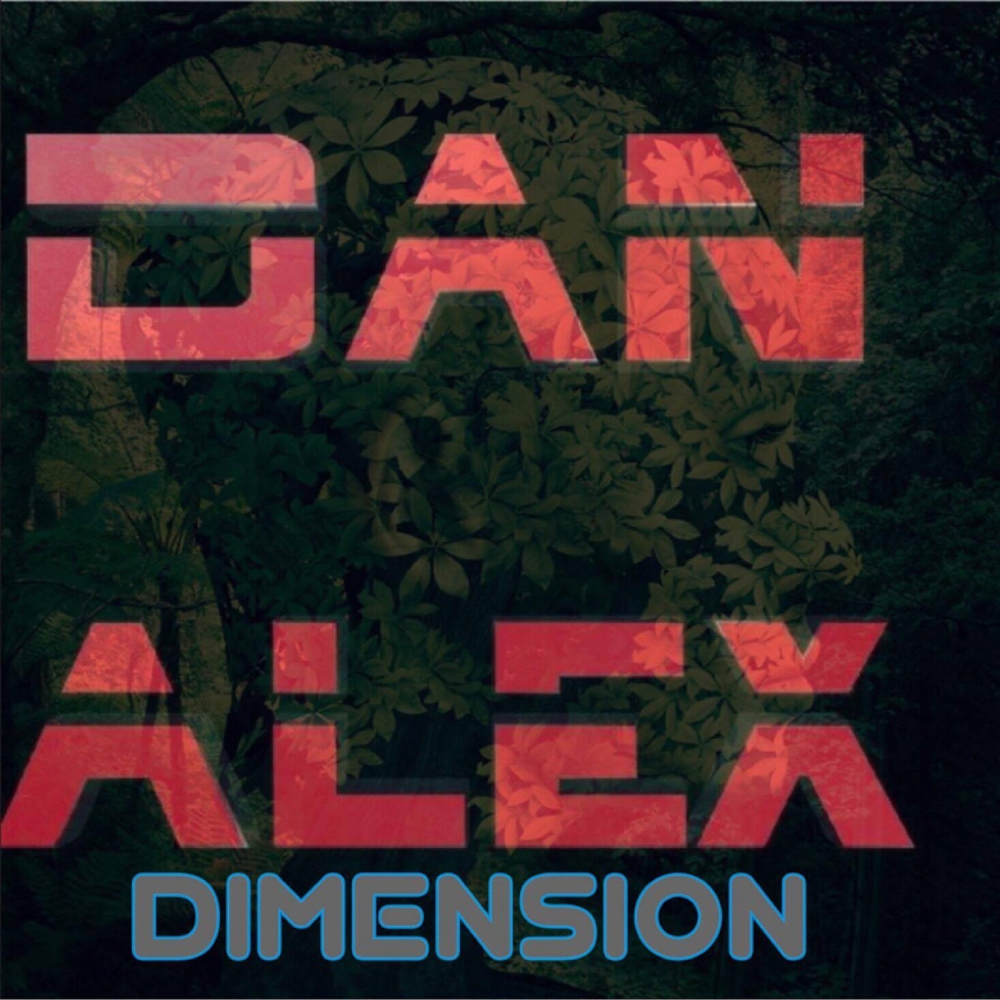 Dimension