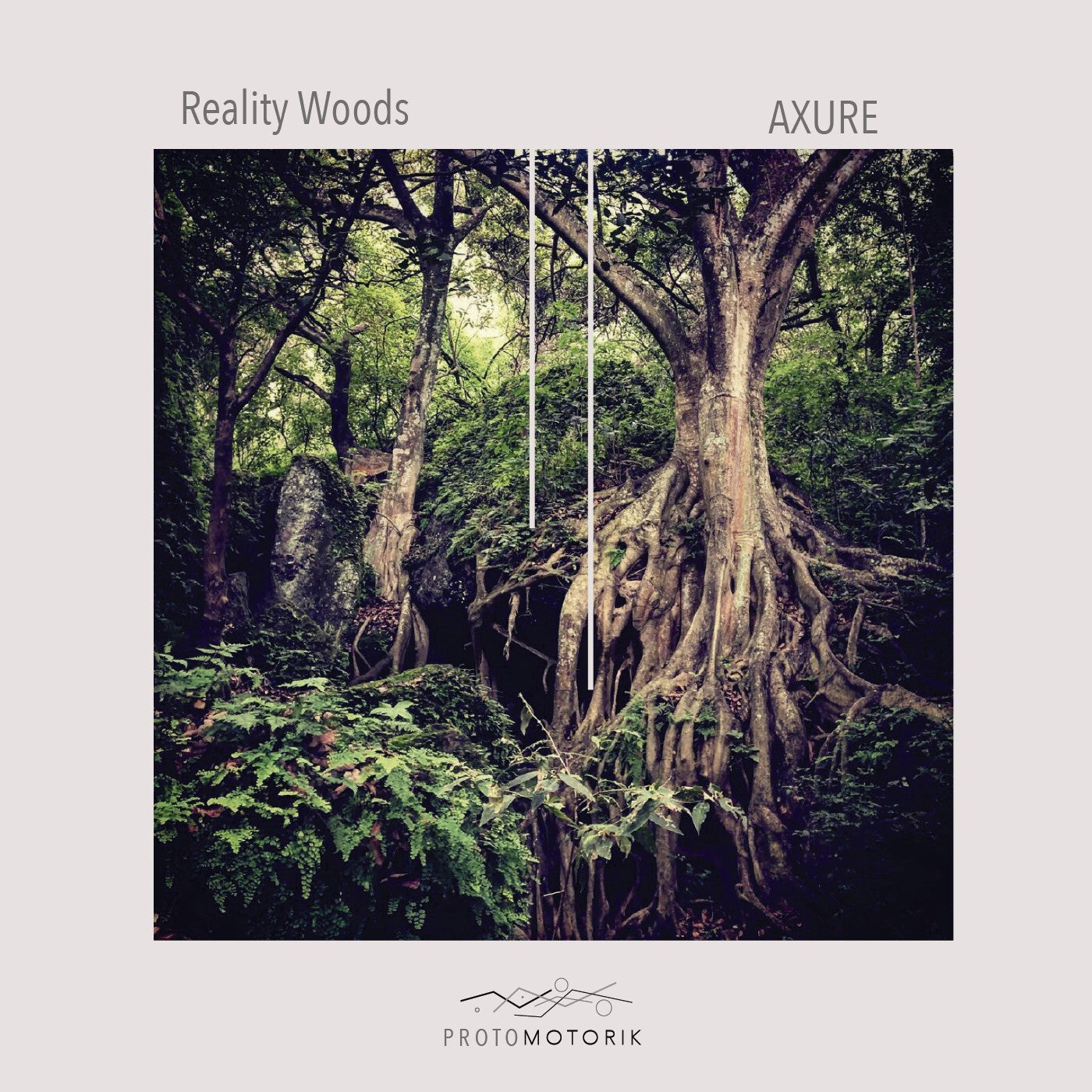 Reality Woods