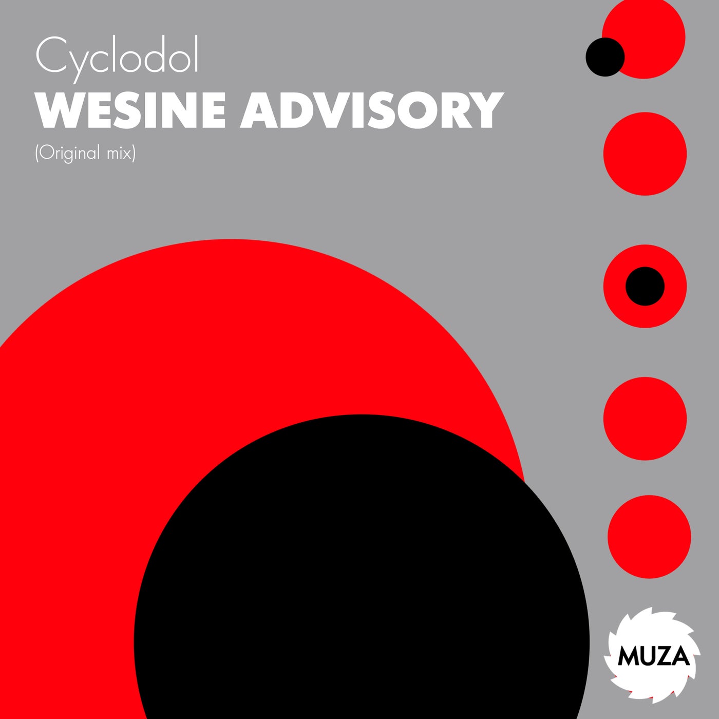 Wesine advisory