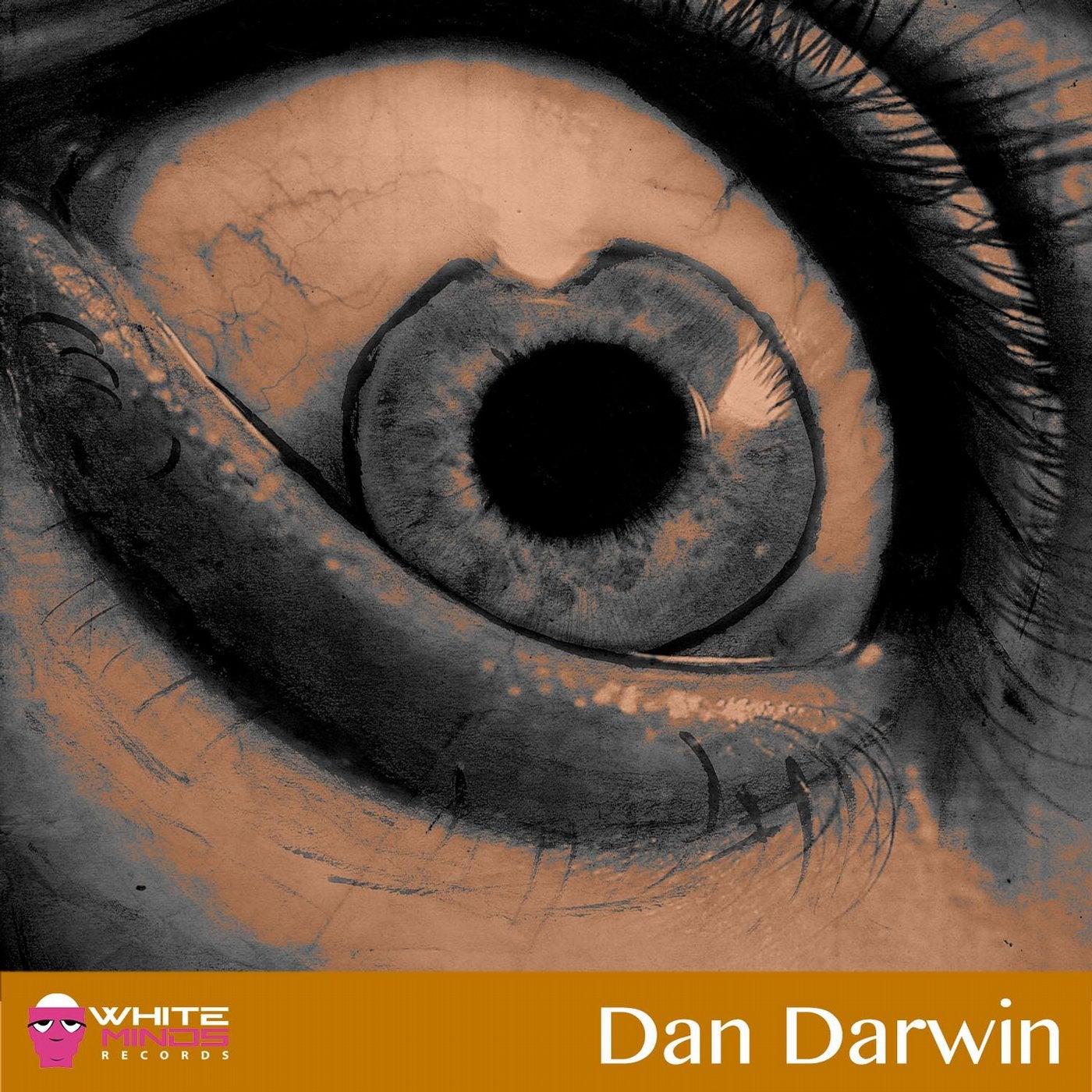 Dan Darwin