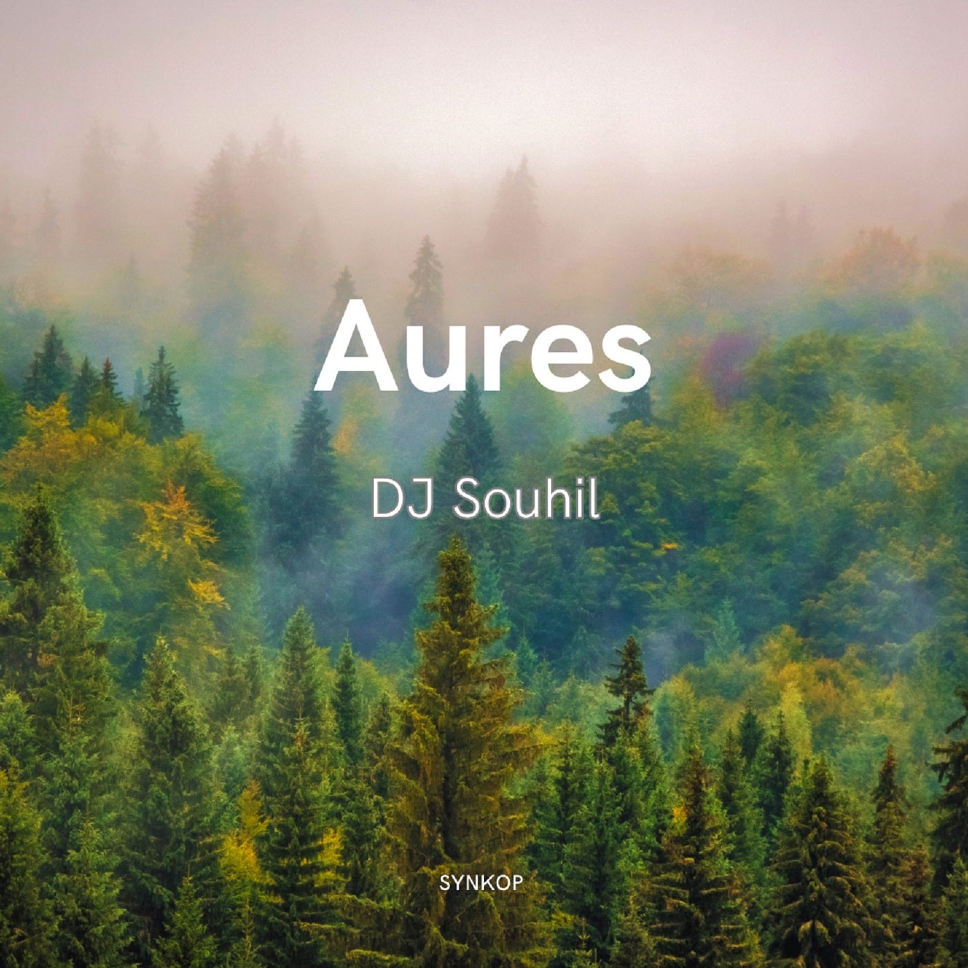 Aures (Extented Mix)