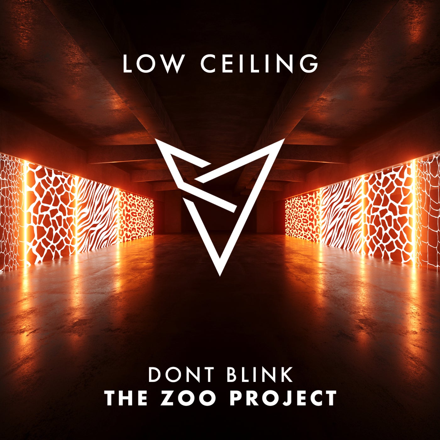 THE ZOO PROJECT