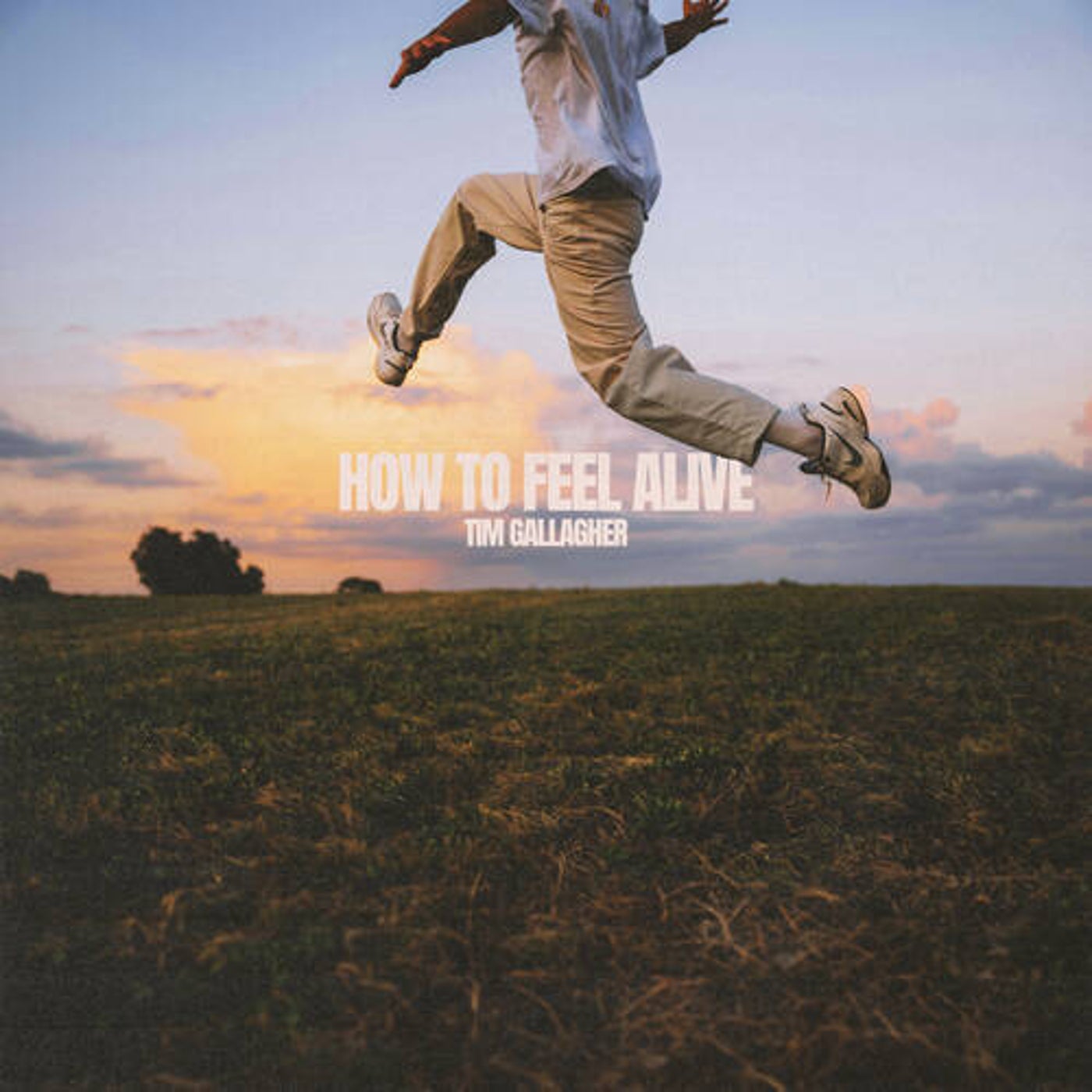 How To Feel Alive