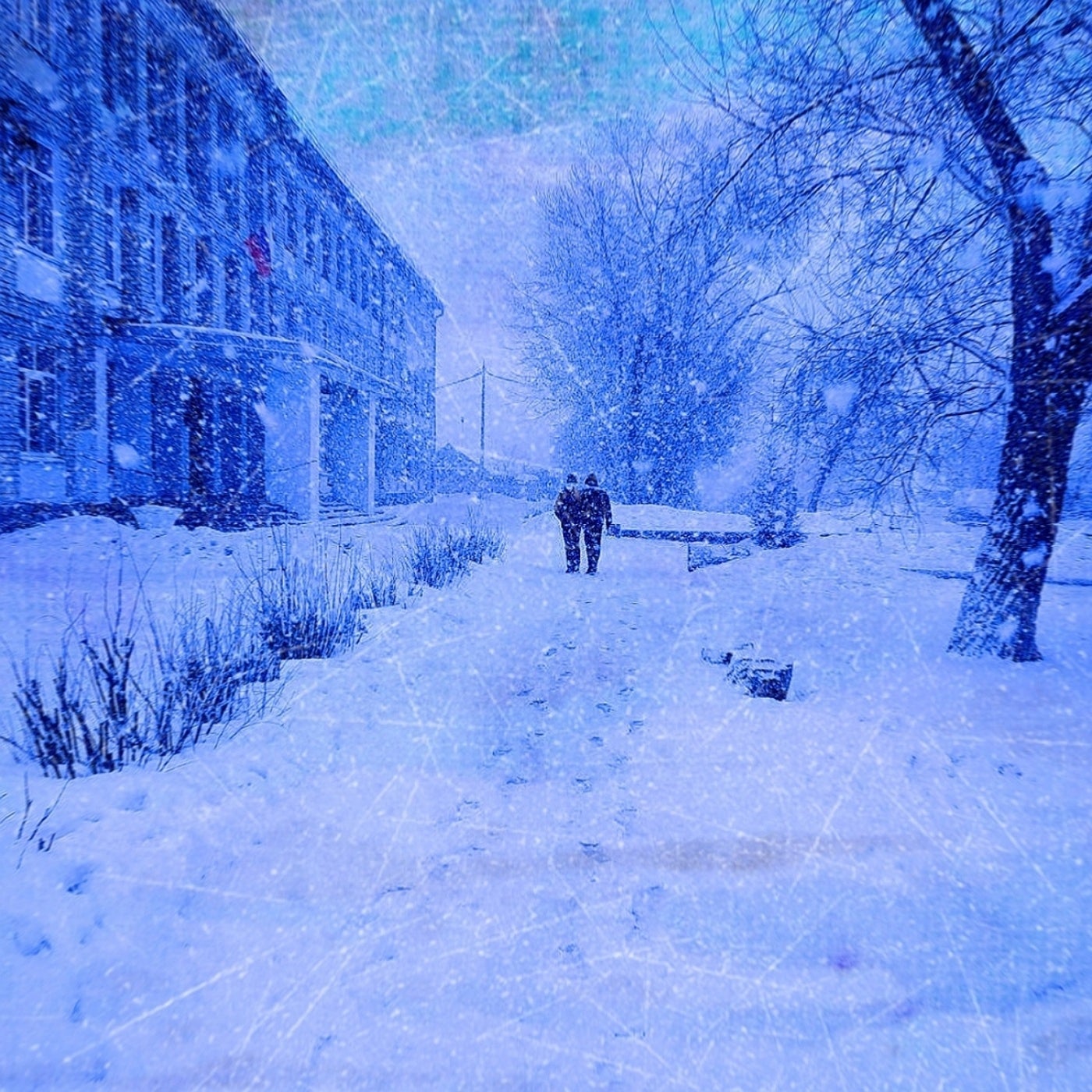 Frost Town