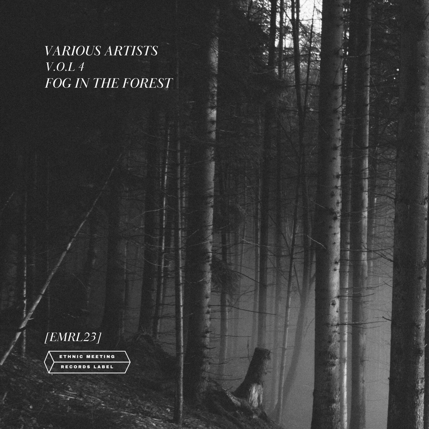 V.a Vol. 4 Fog in the Forest