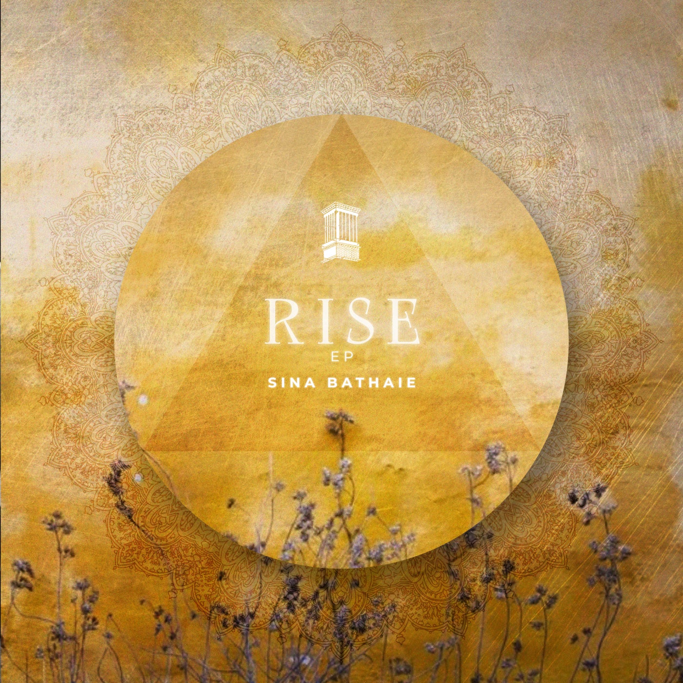 Rise