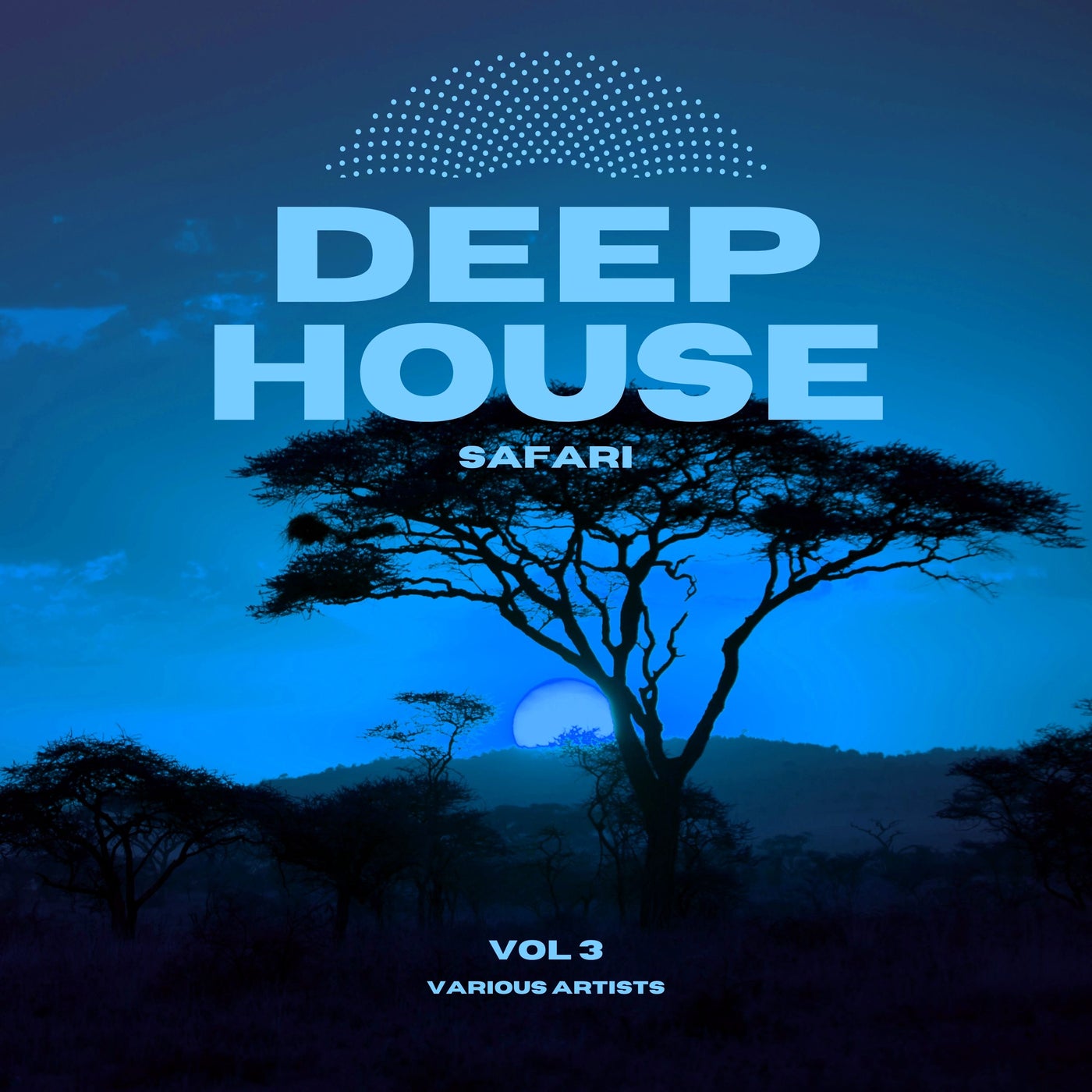 Deep-House Safari, Vol. 3