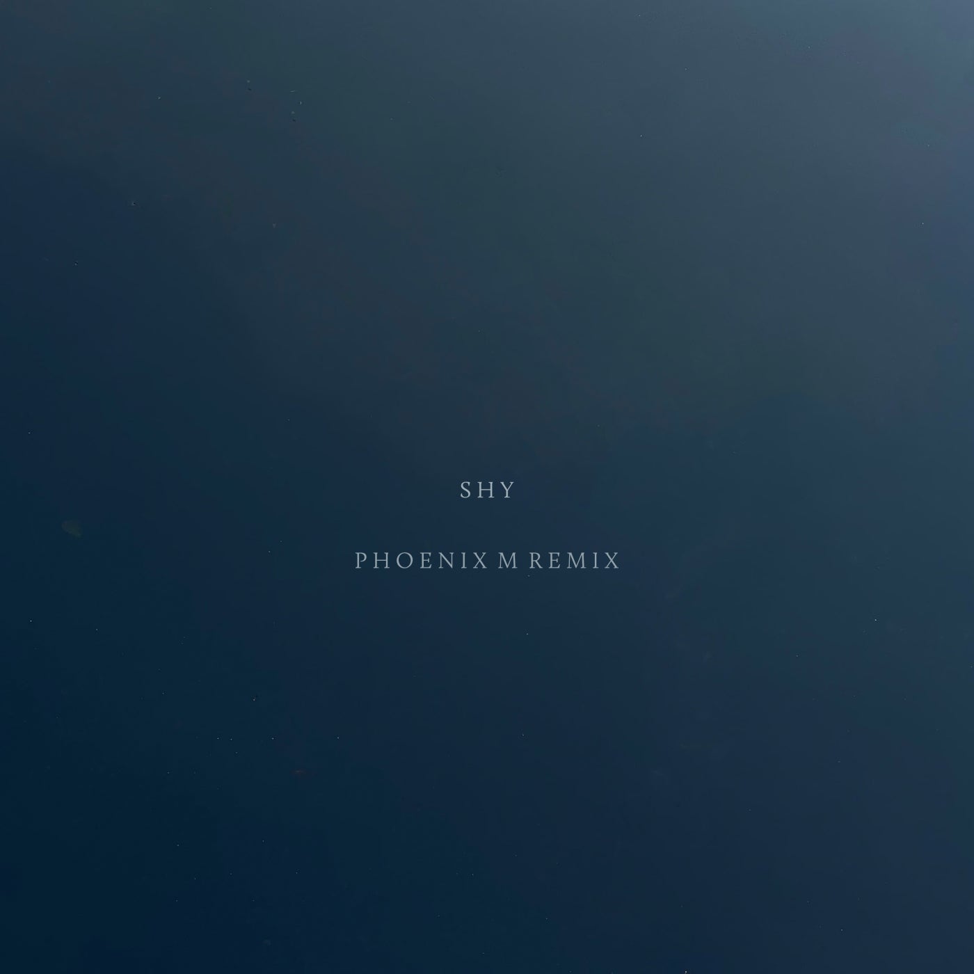 Shy (Pheonix M Remix)