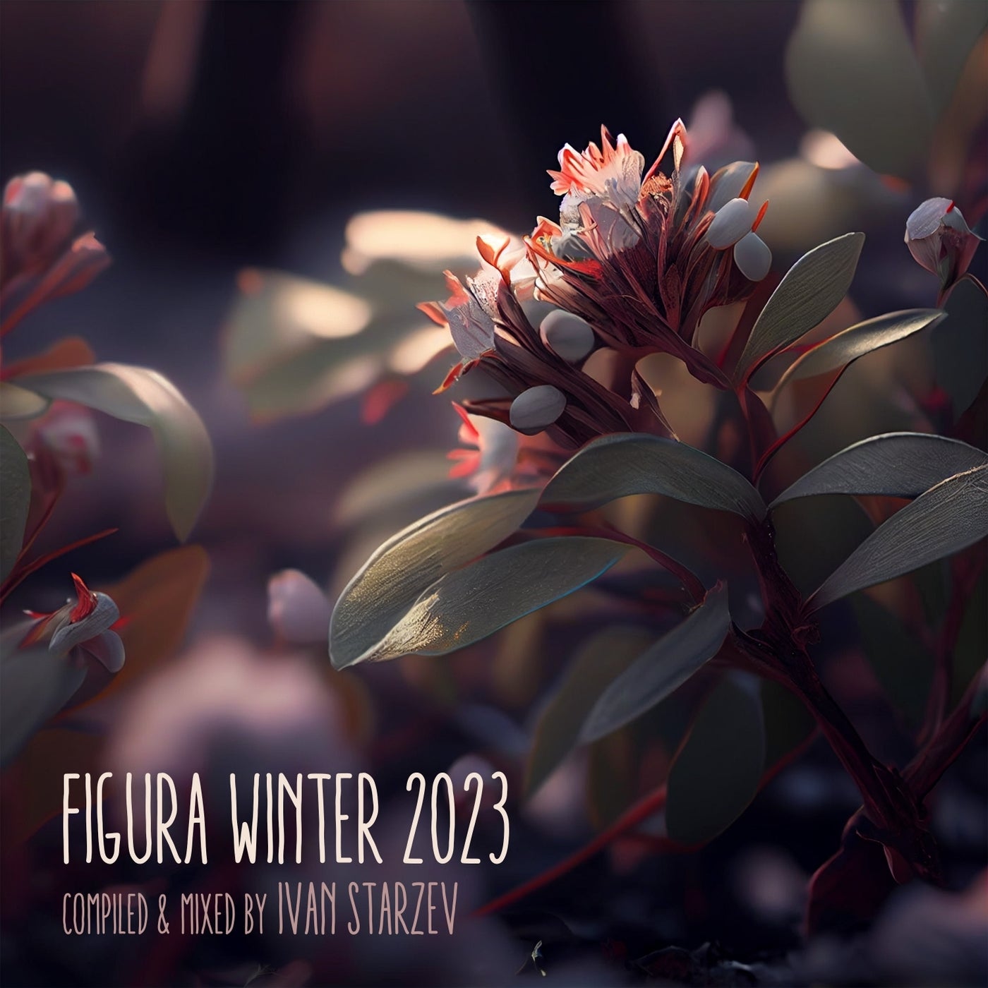Figura Winter 2023