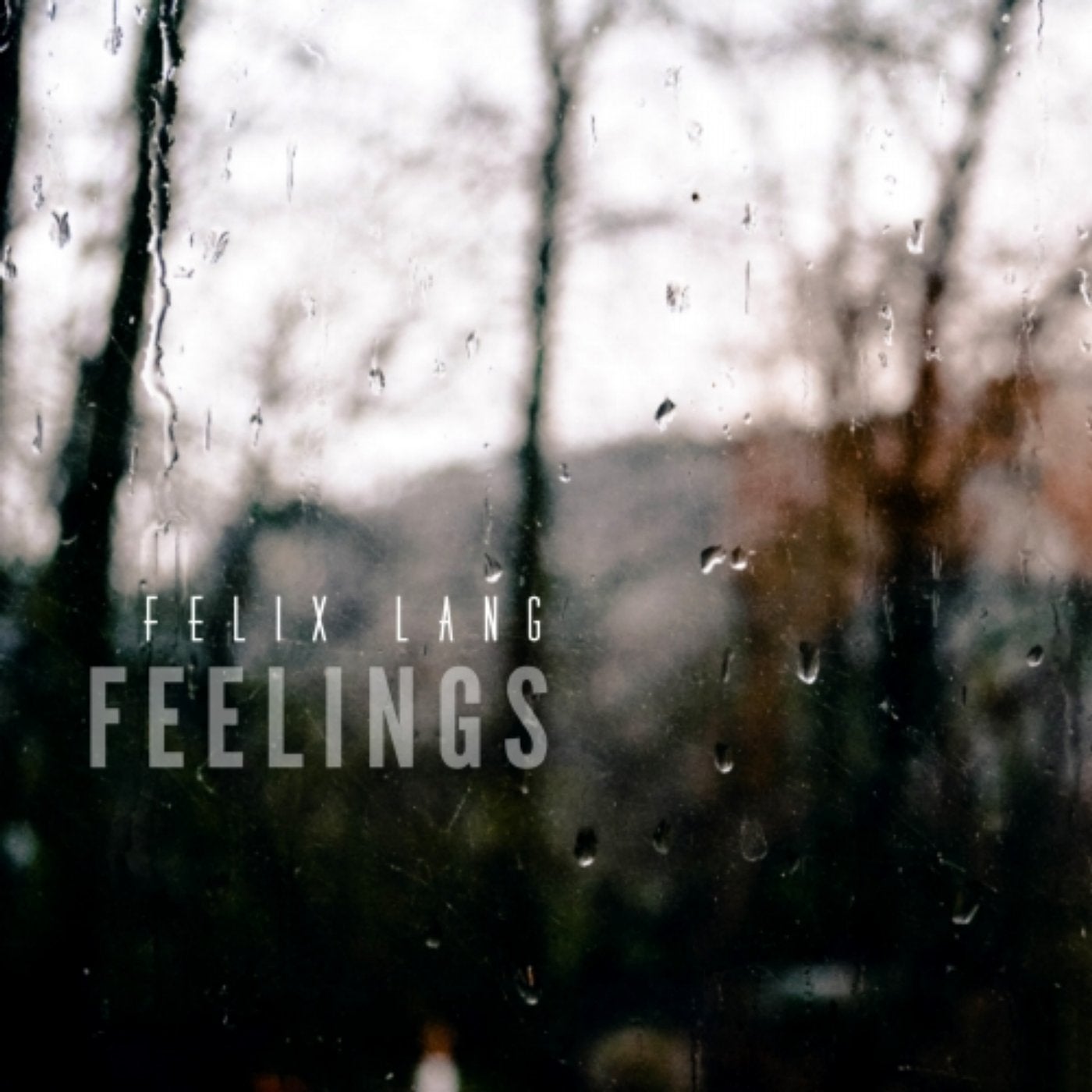 Feelings