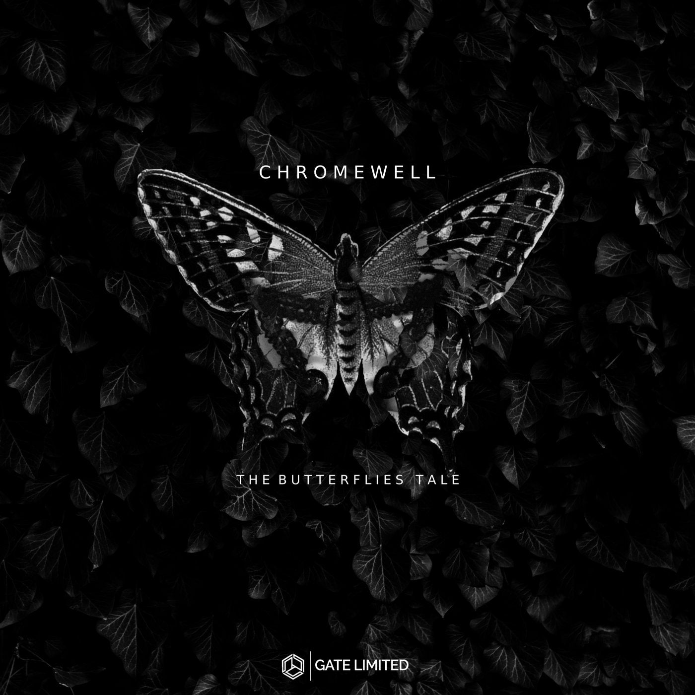 The Butterflies Tale