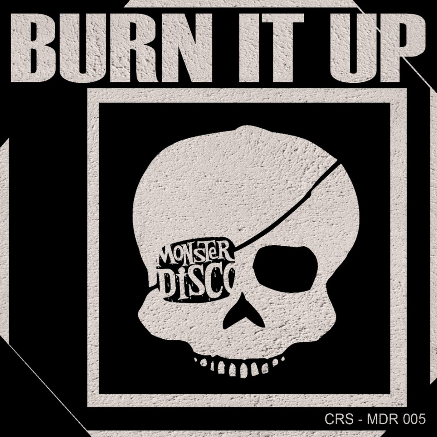 Burn It Up - Single