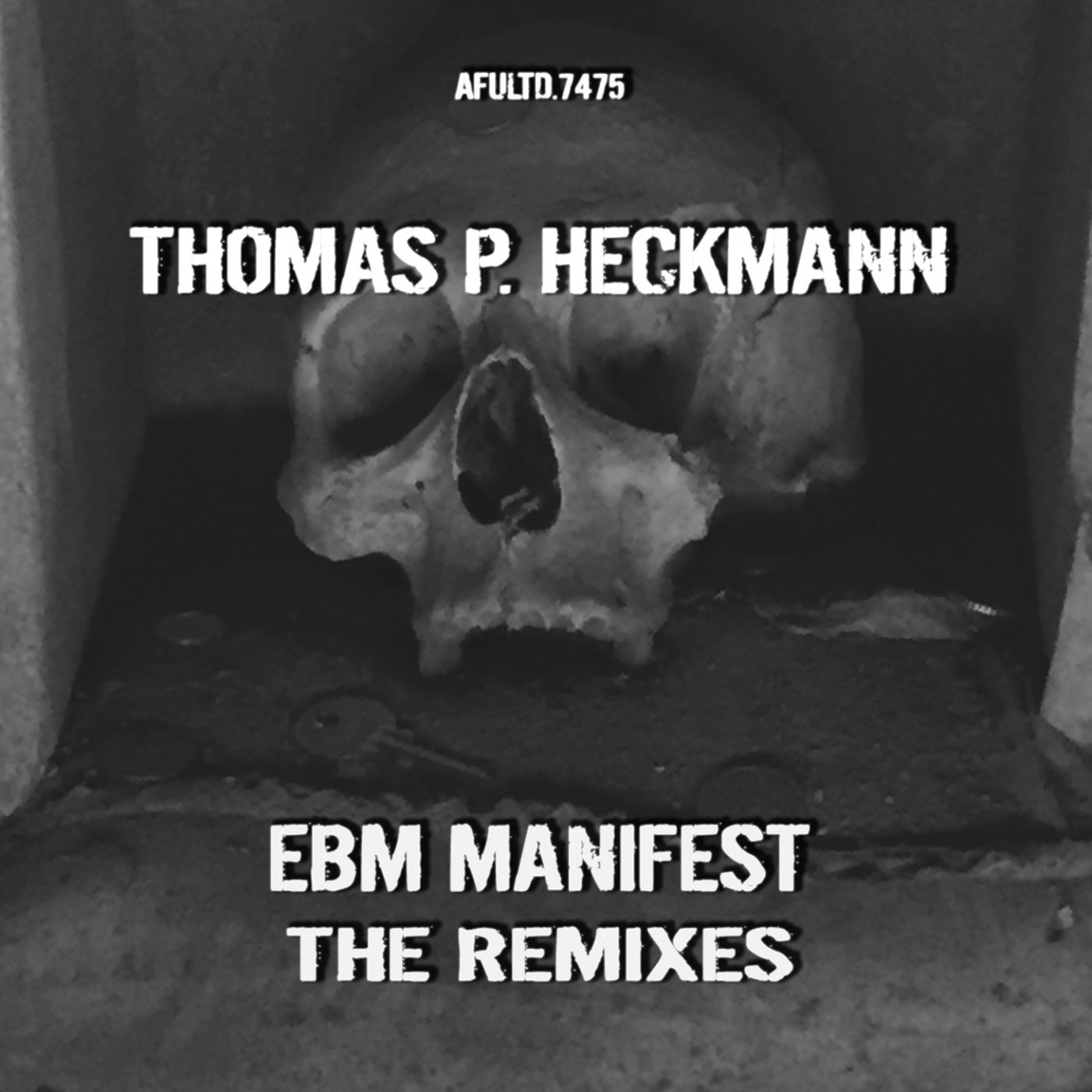 Thomas P. Heckmann / EBM Manifest The Remixes