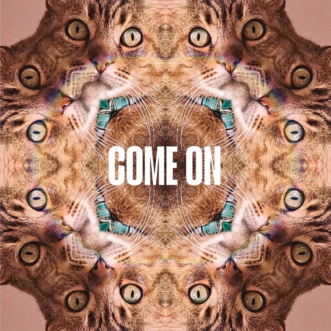 Come On