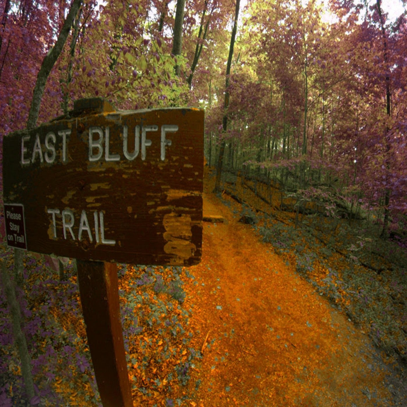 East Bluff Trail