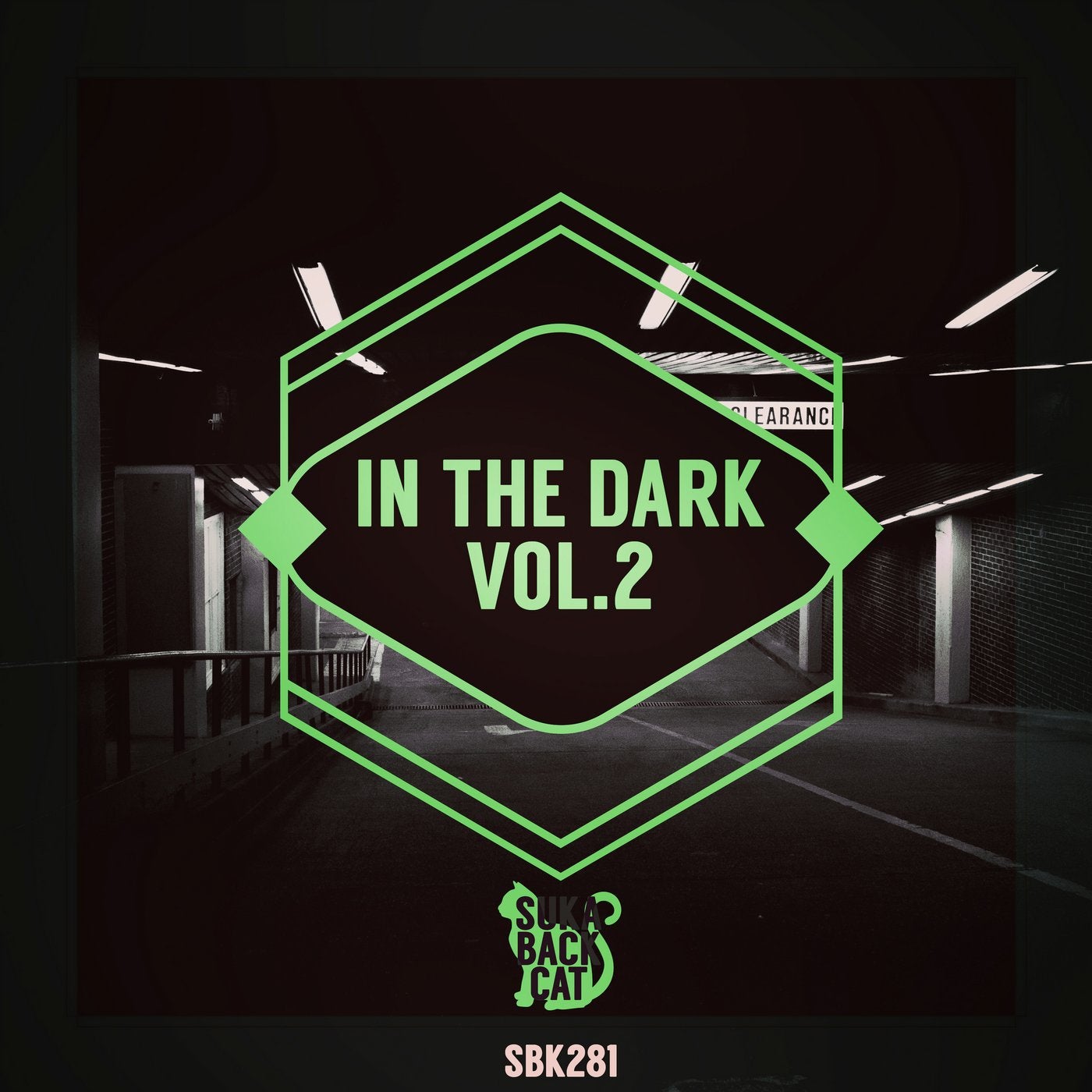 In the Dark, Vol.2