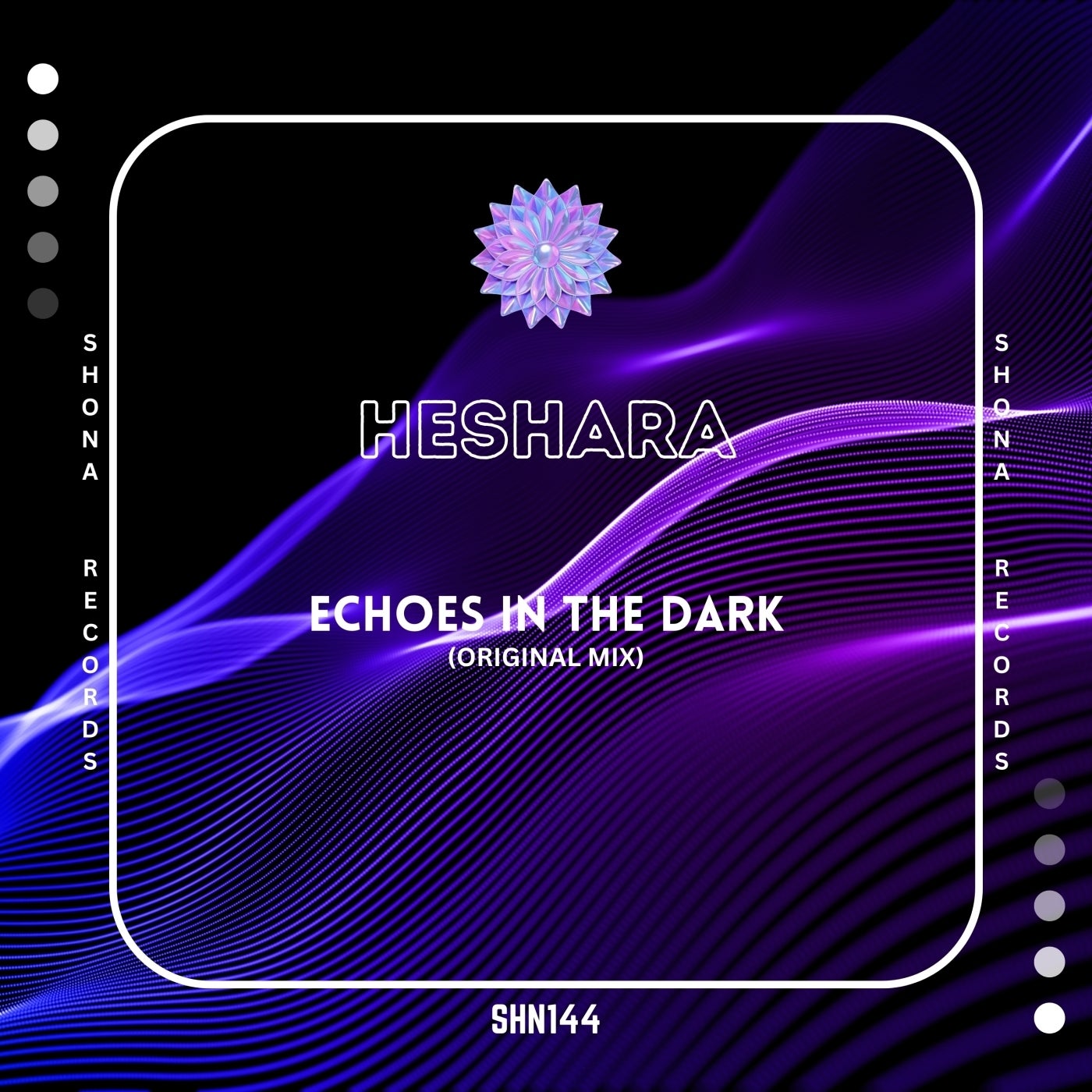 Echoes in the Dark