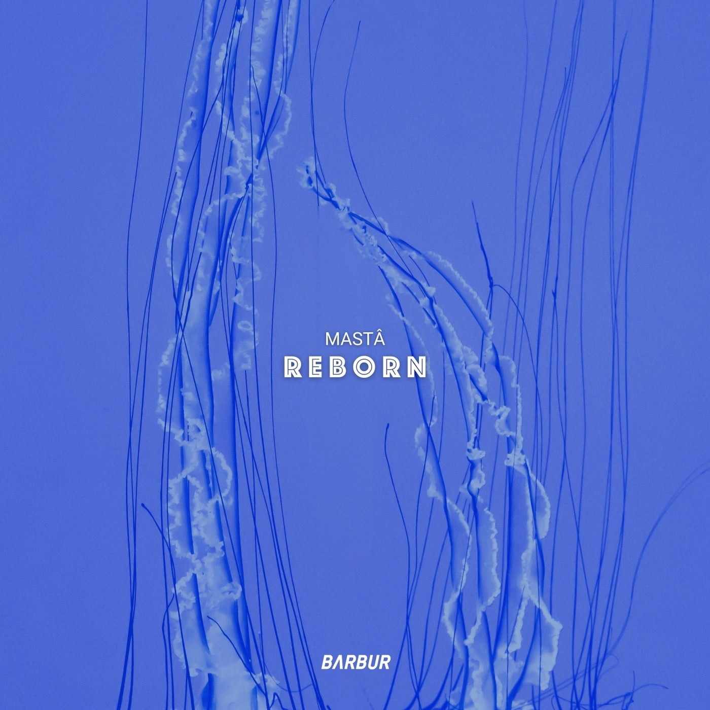 Reborn