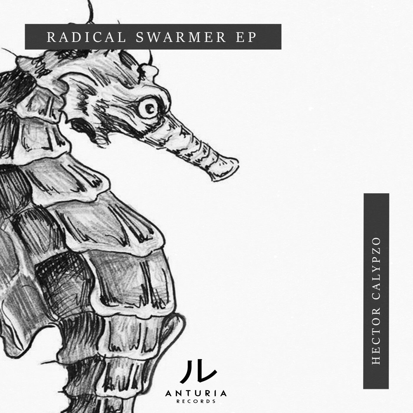 Radical Swarmer EP