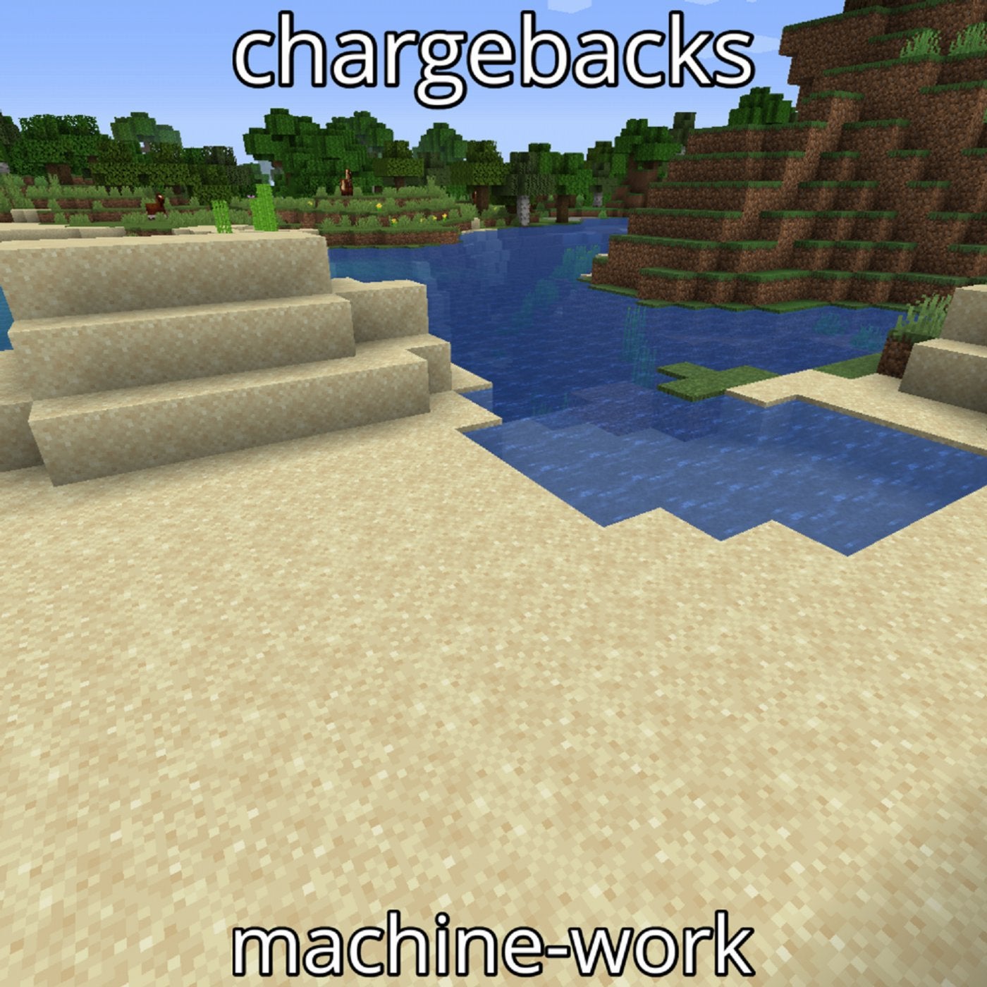 Chargebacks