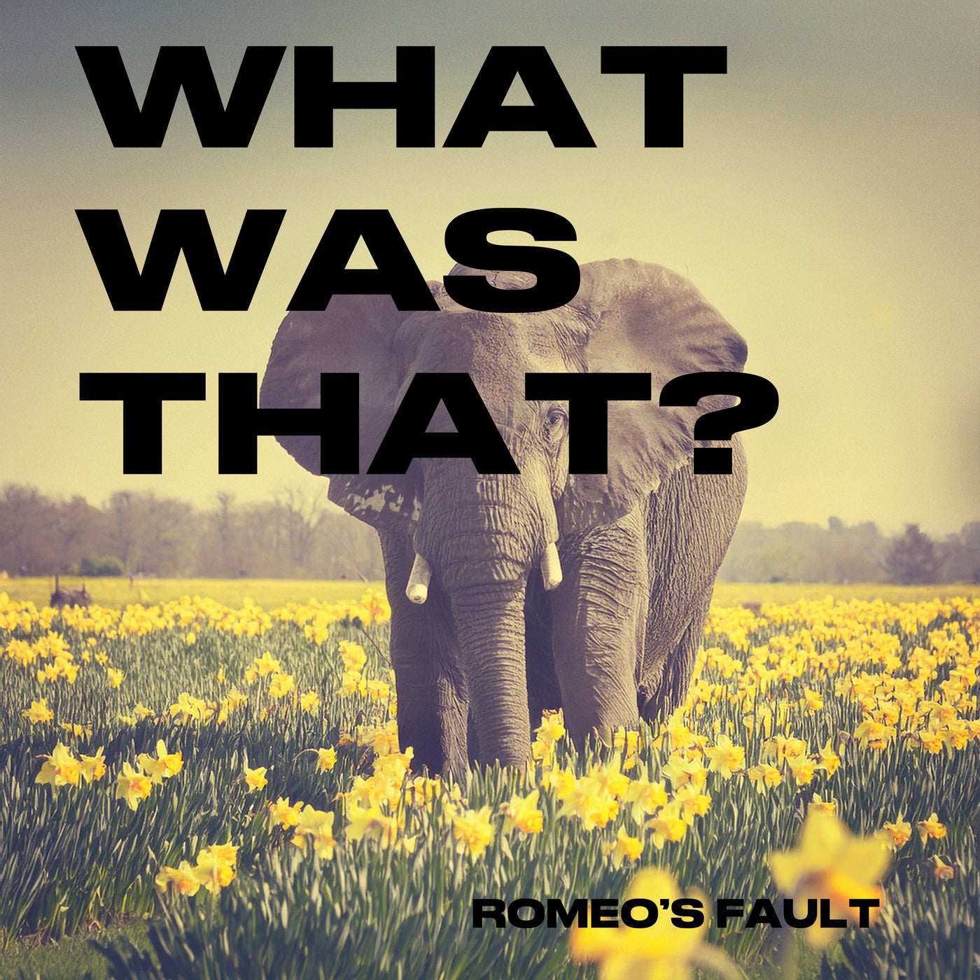 WHAT WAS THAT?
