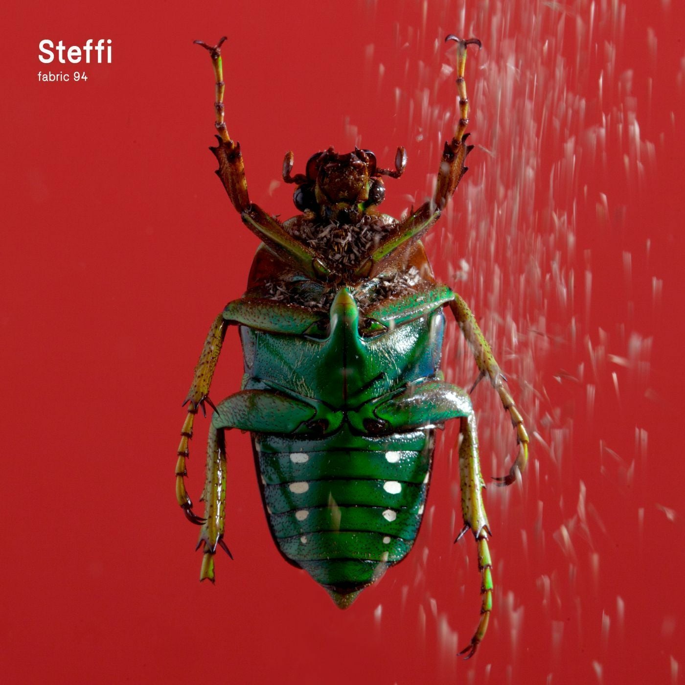 fabric 94: Steffi