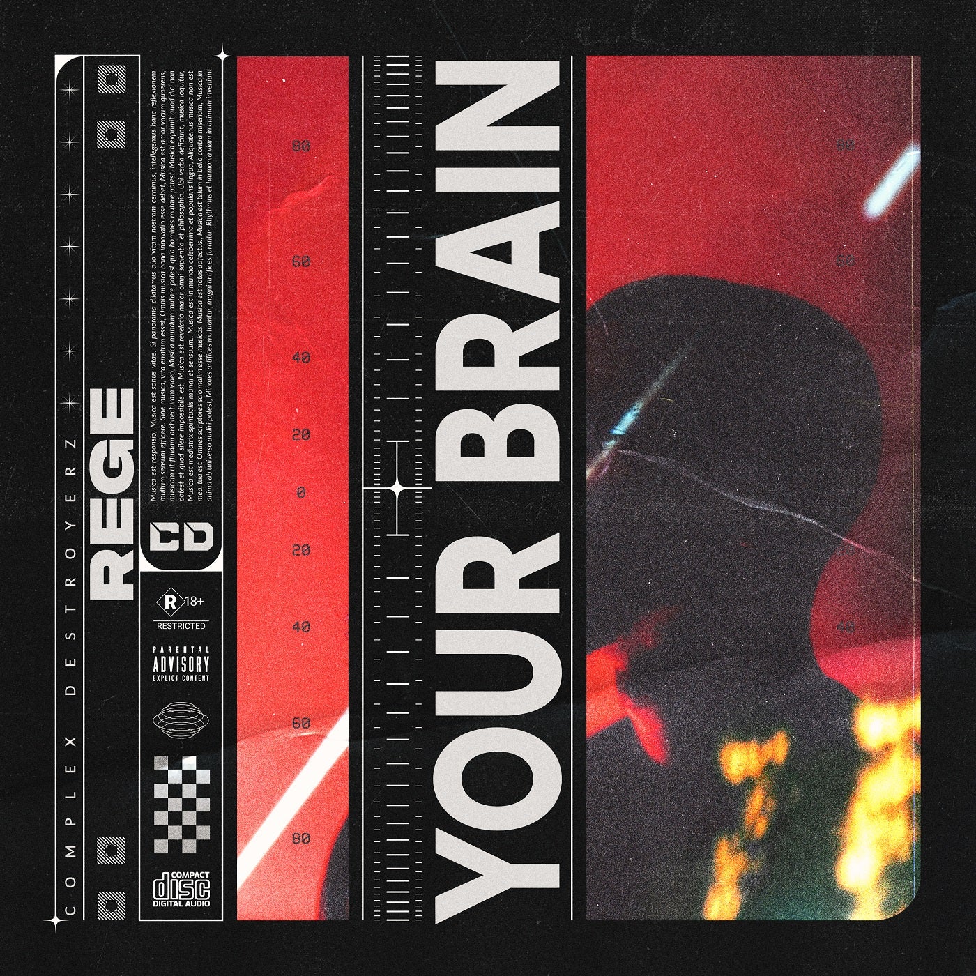 Your Brain