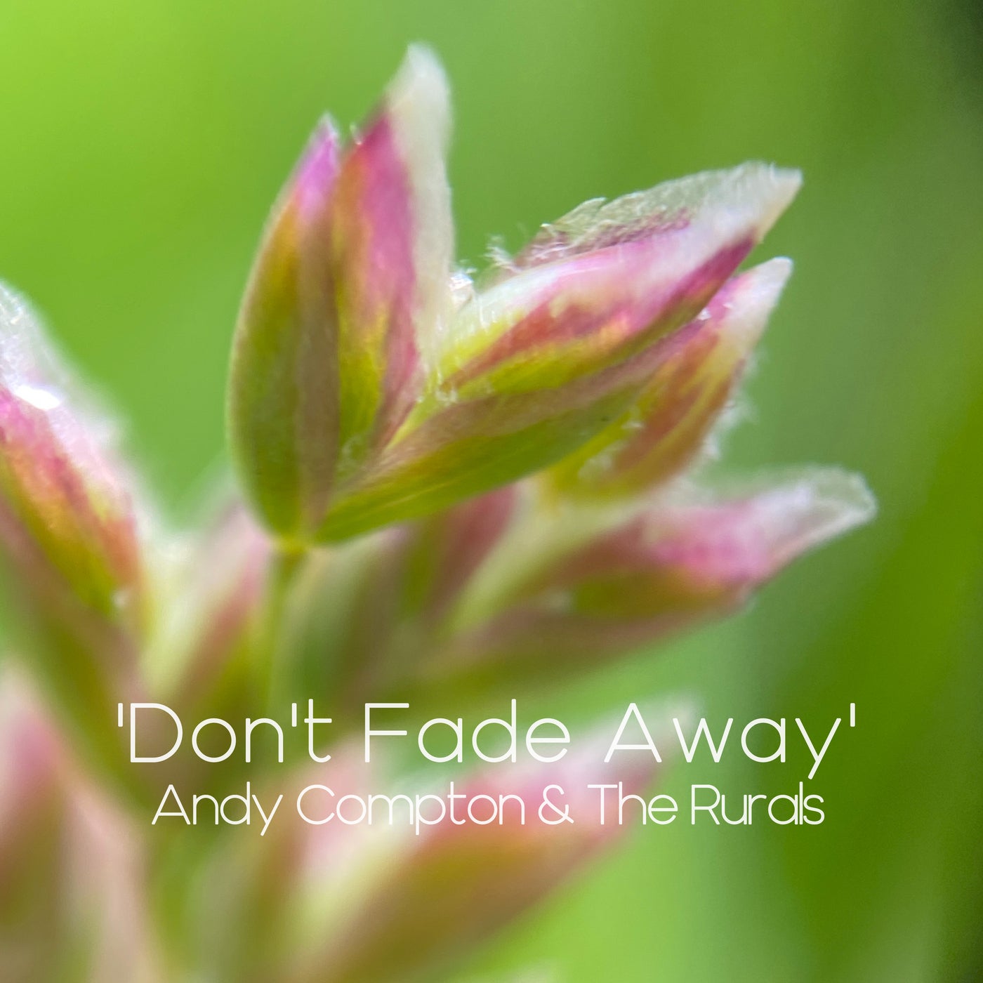 Don't Fade Away