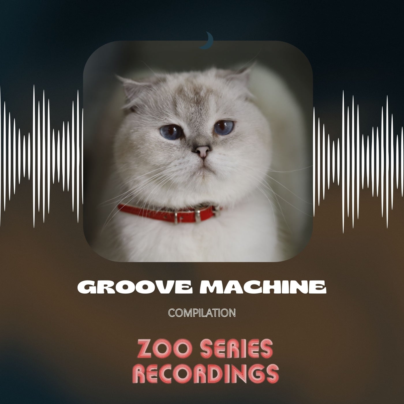 Groove Machine