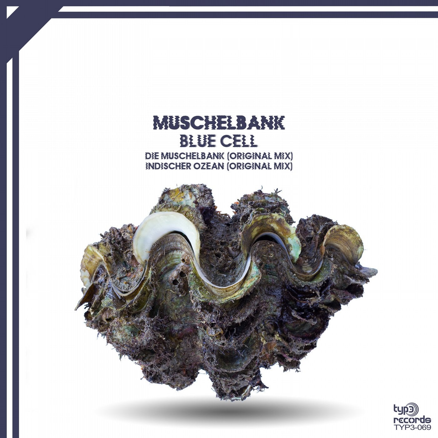 Muschelbank