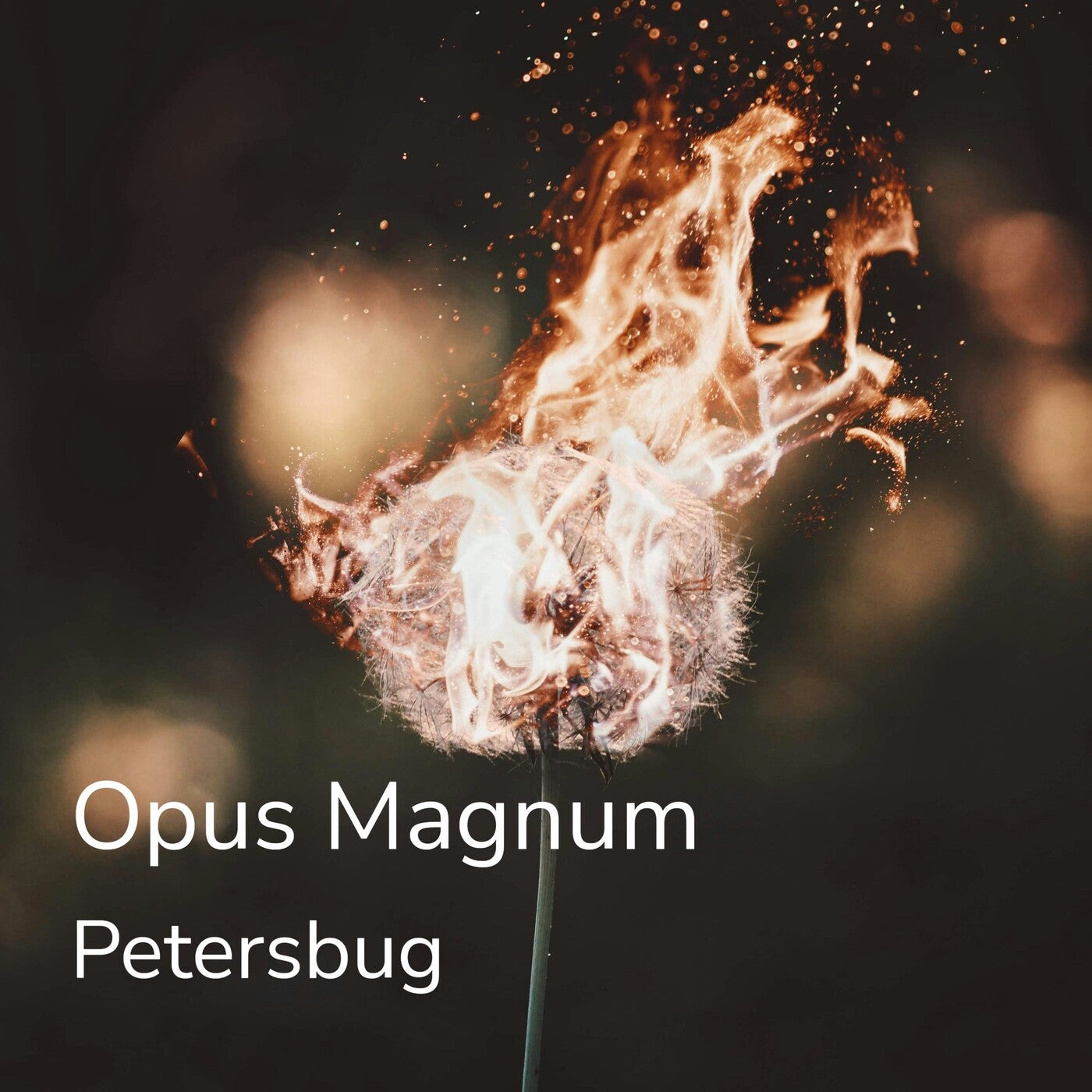 Opus Magnum