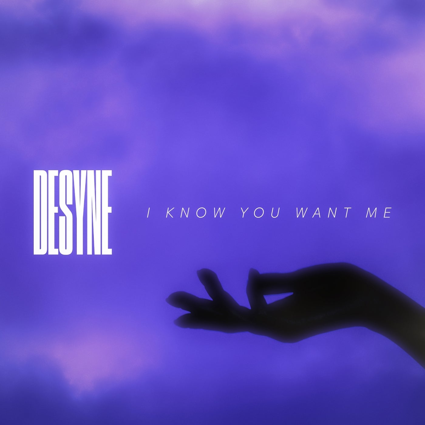 I Know You Want Me (Instrumental)