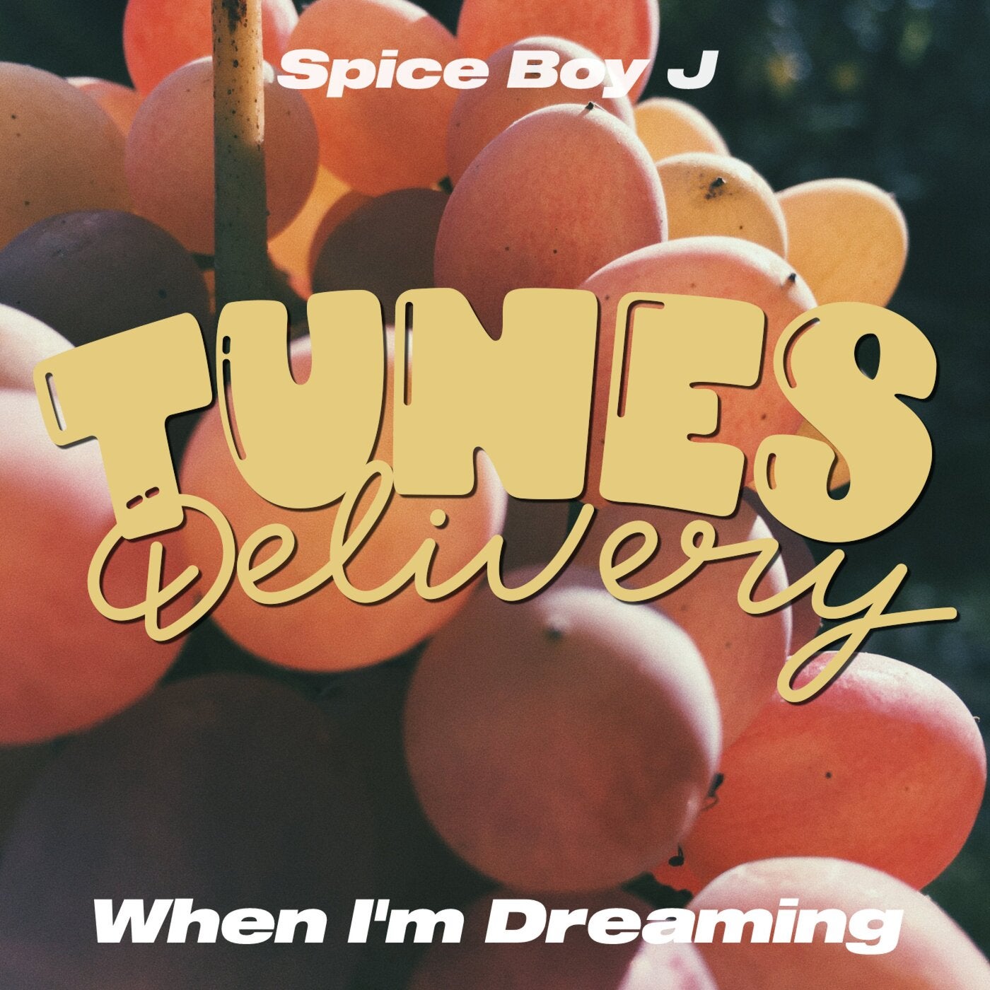 When I'm Dreaming